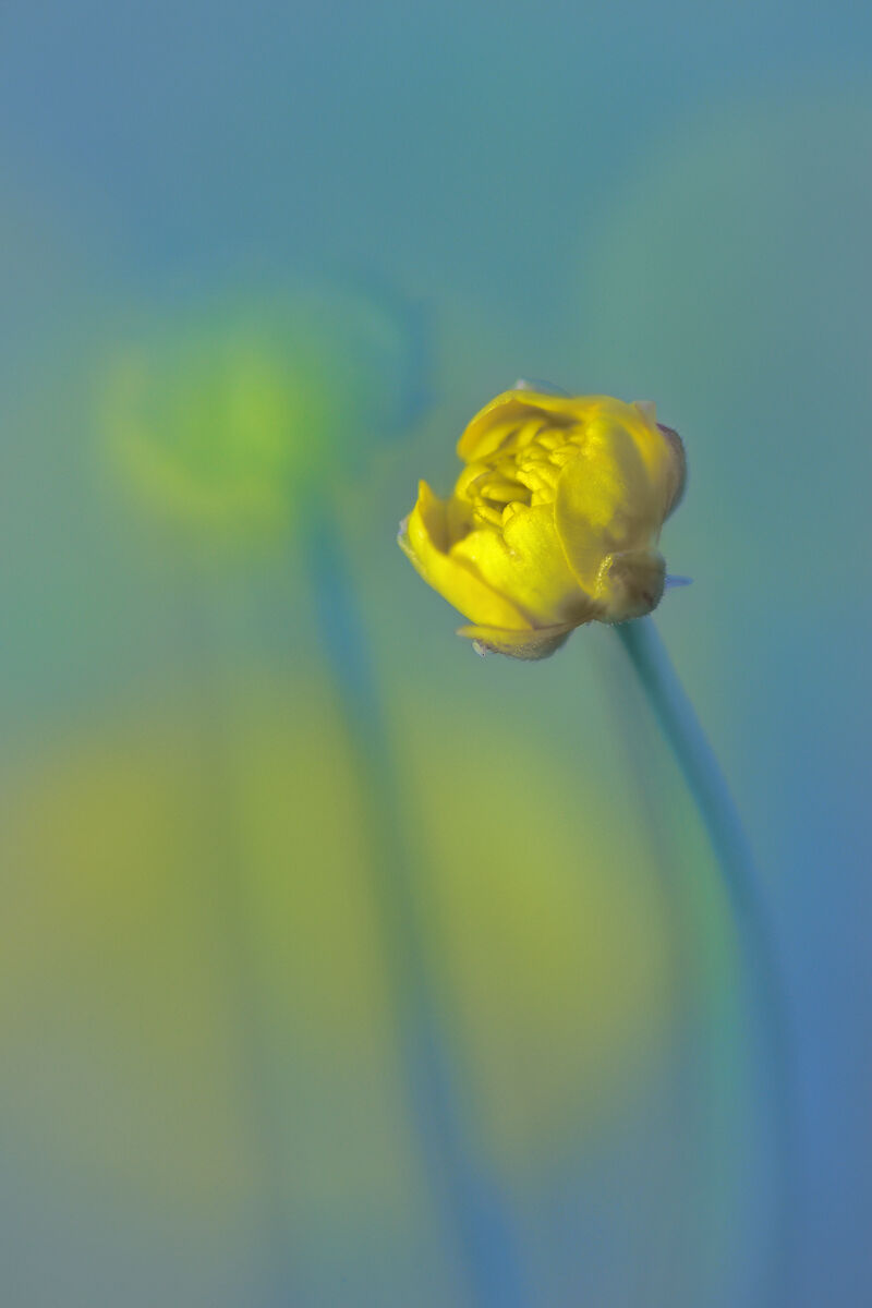 Untitled Photo