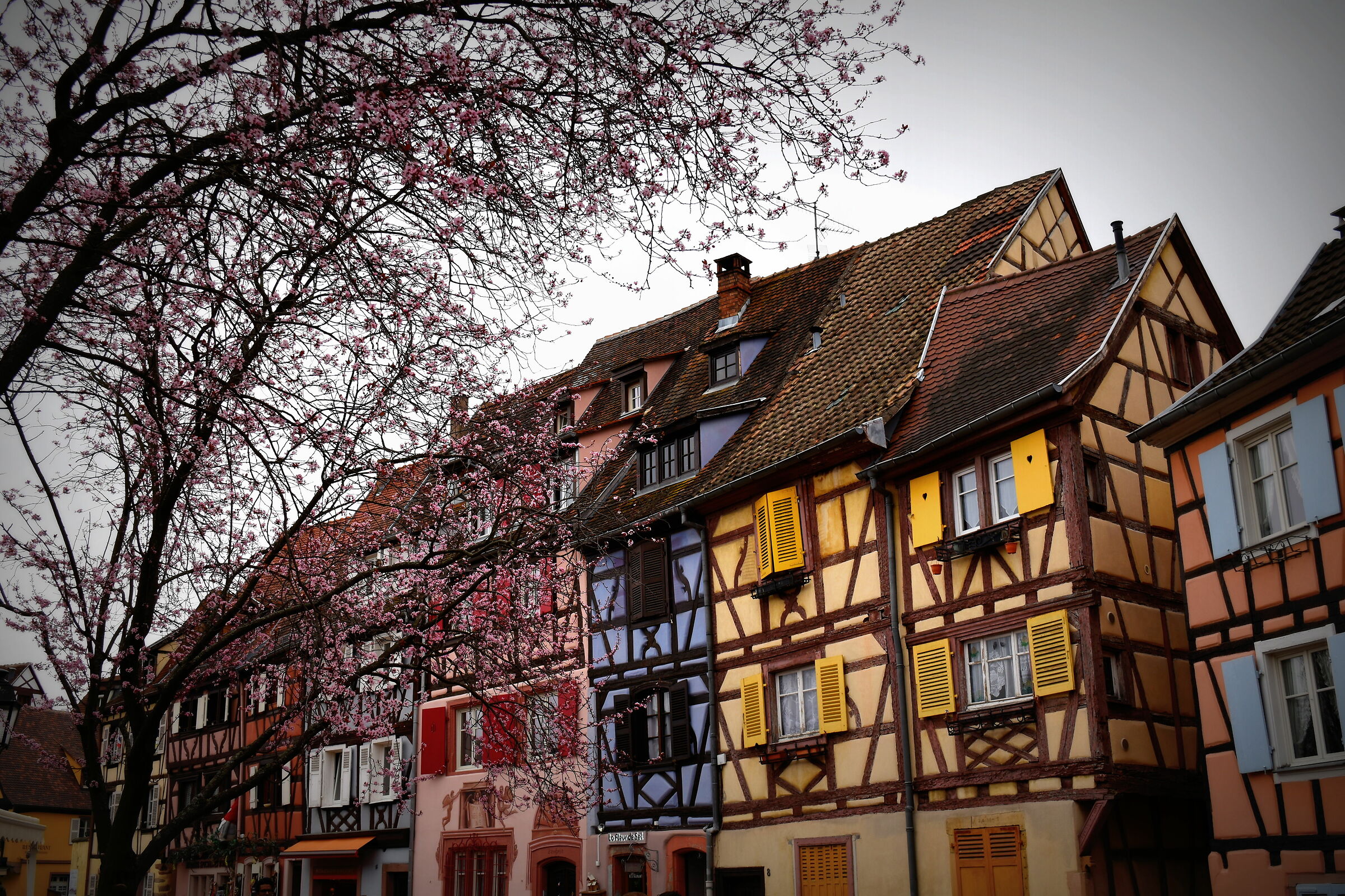 Colmar