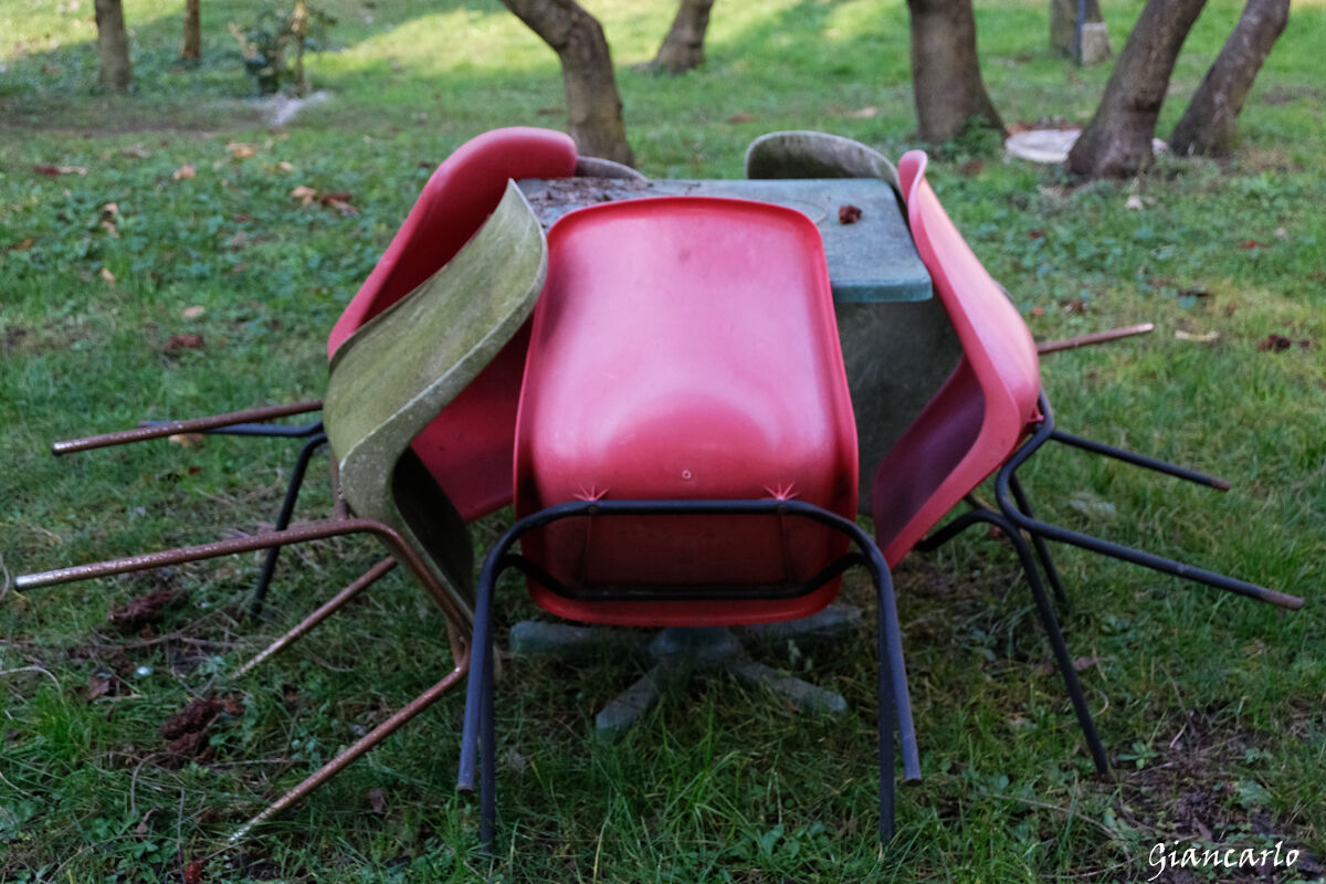 composizione di sedie un Tulipano