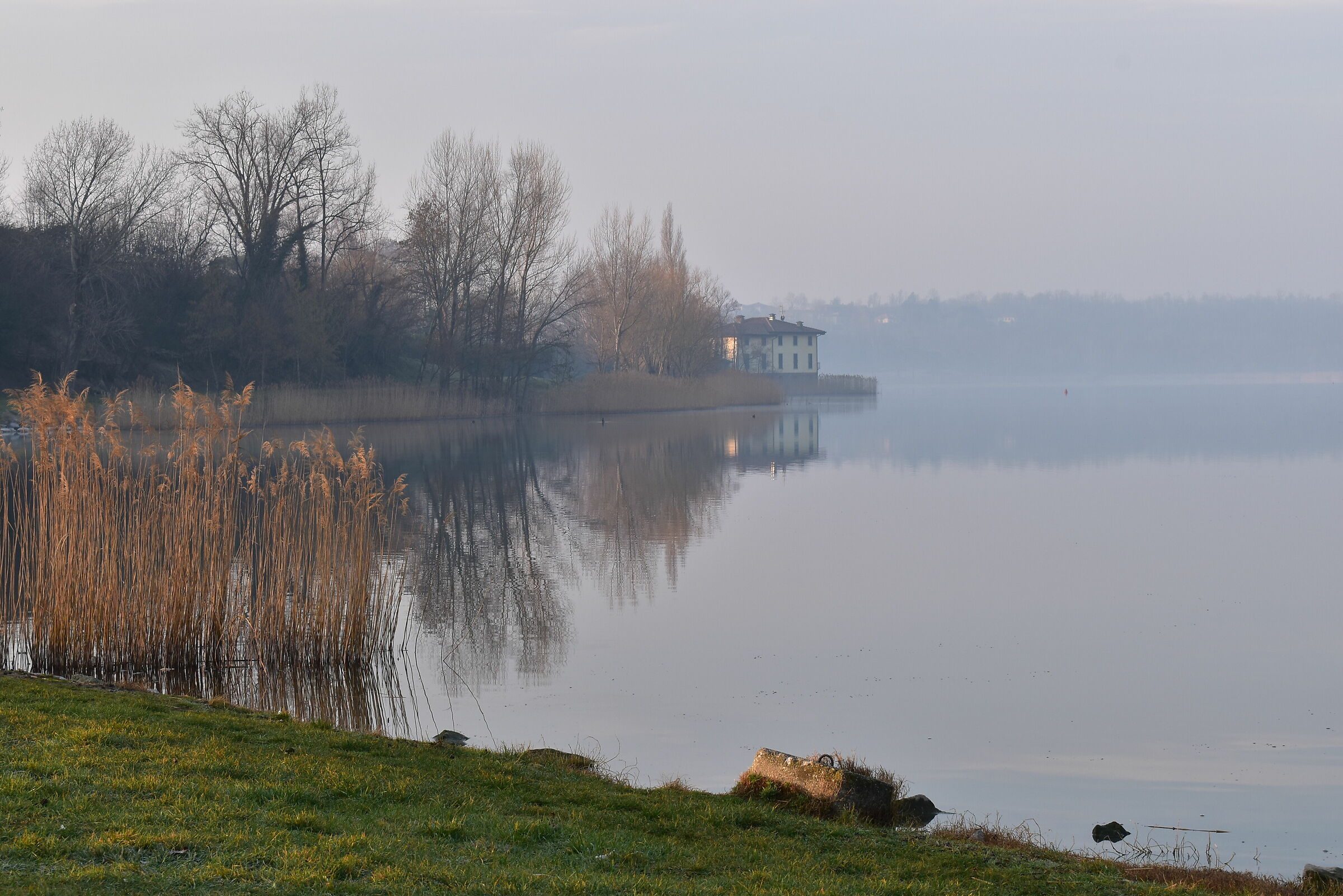 alba sul lago di Annone