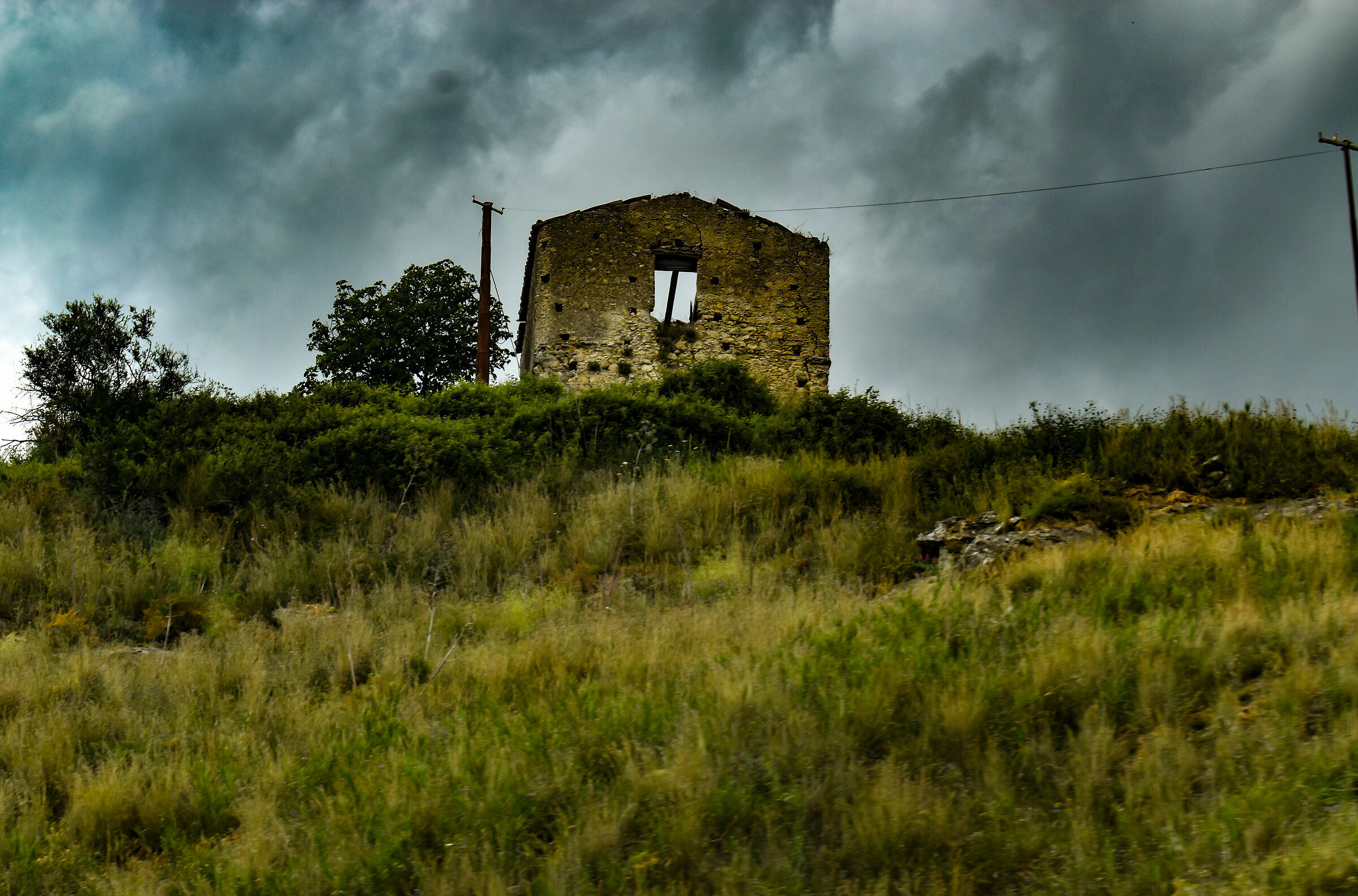 Untitled Photo