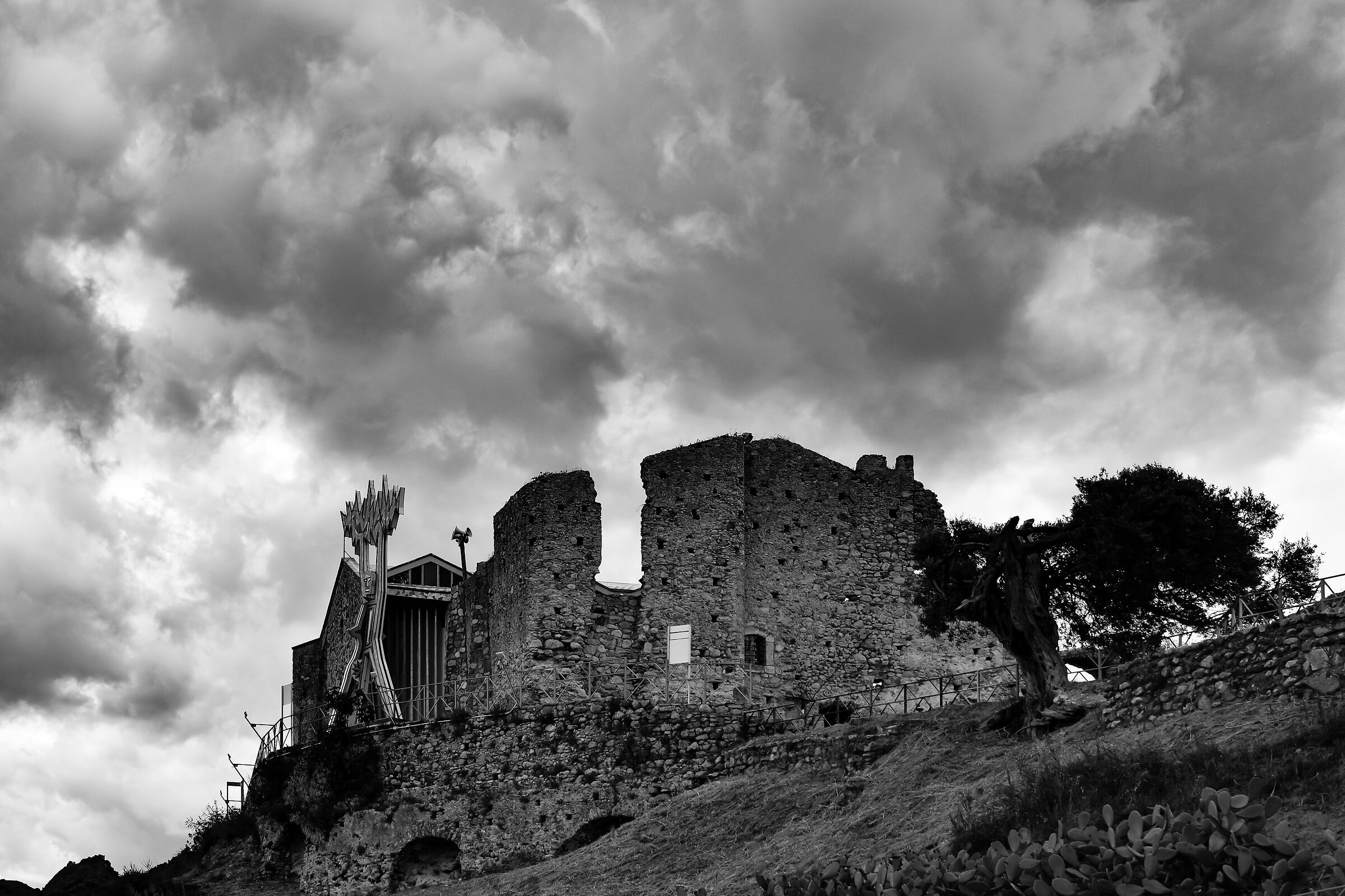 Untitled Photo
