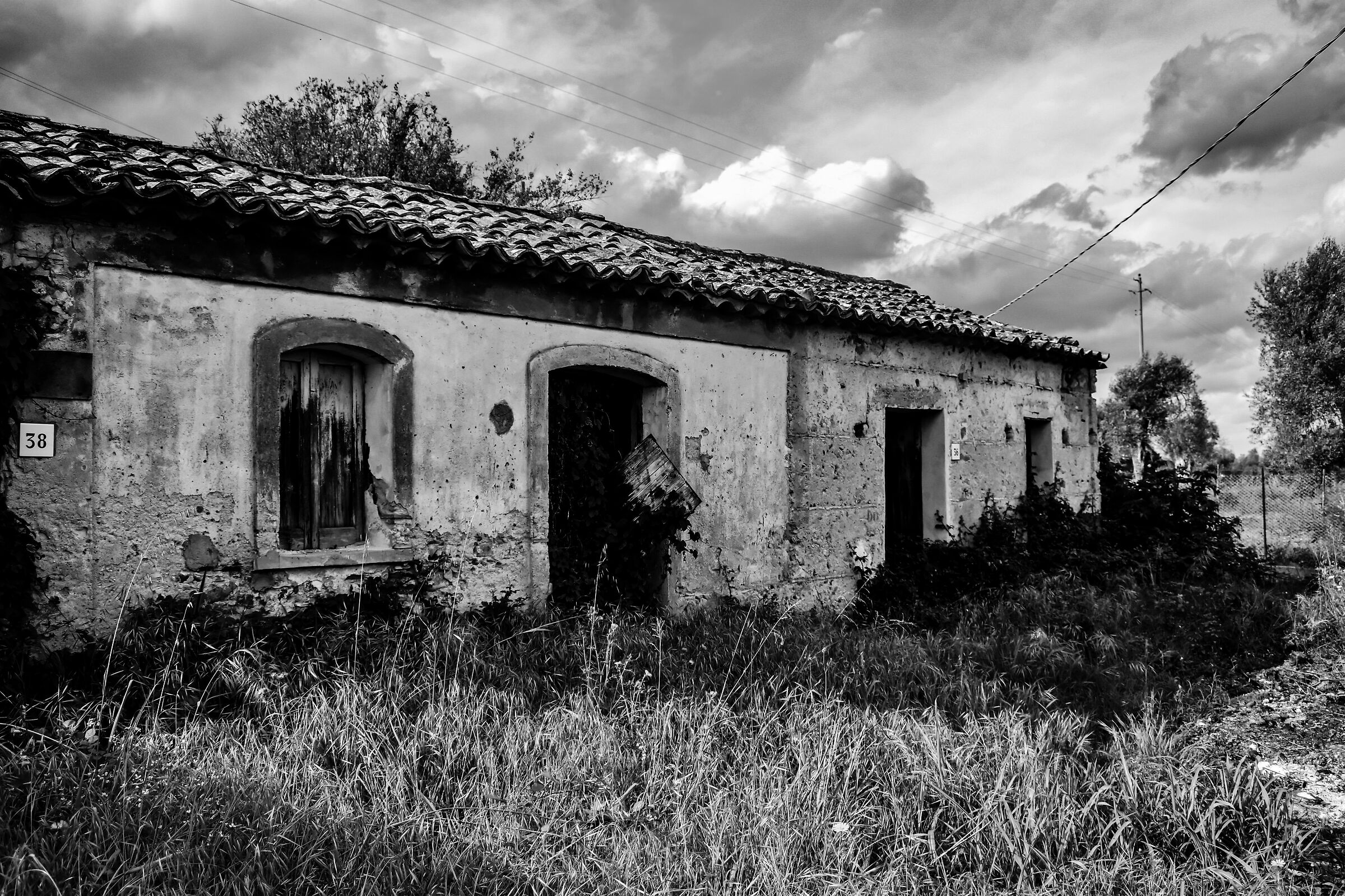 Untitled Photo