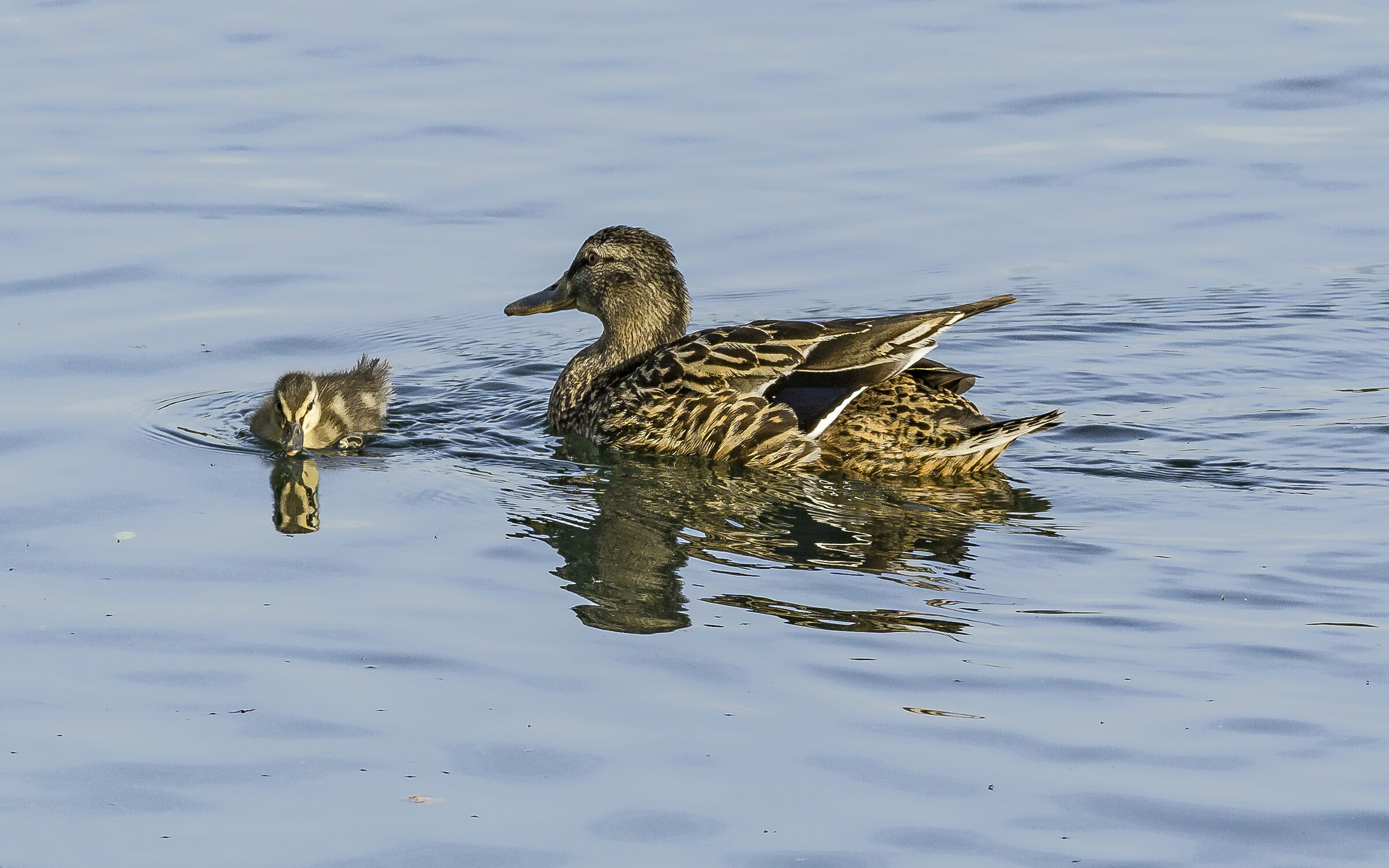 Sunday, May 24, 2020, 6:56:28 PM