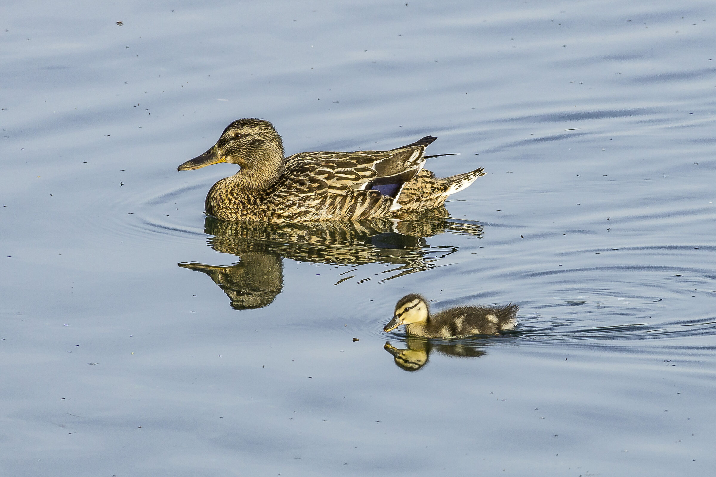 Sunday, May 24, 2020, 6:56:34 PM