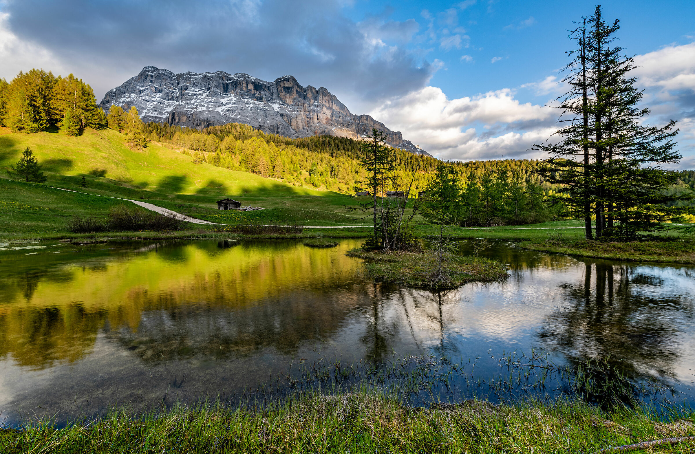 Shadows on Armentara