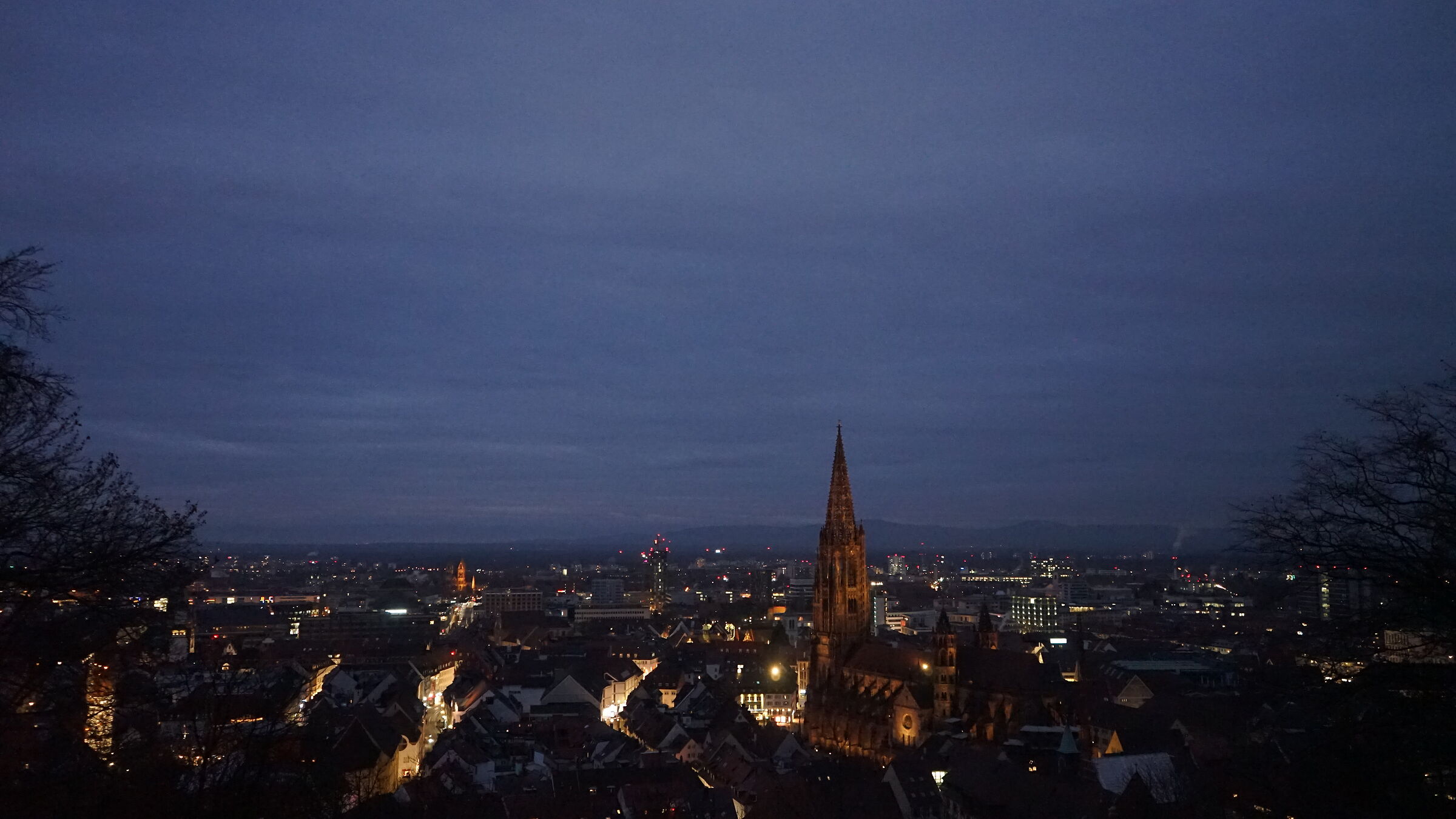 Friburgo in Brisgovia