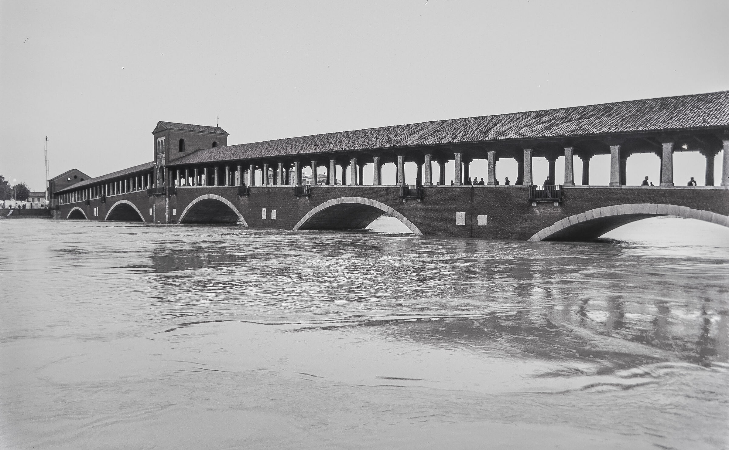 Pavia, Ticino in full