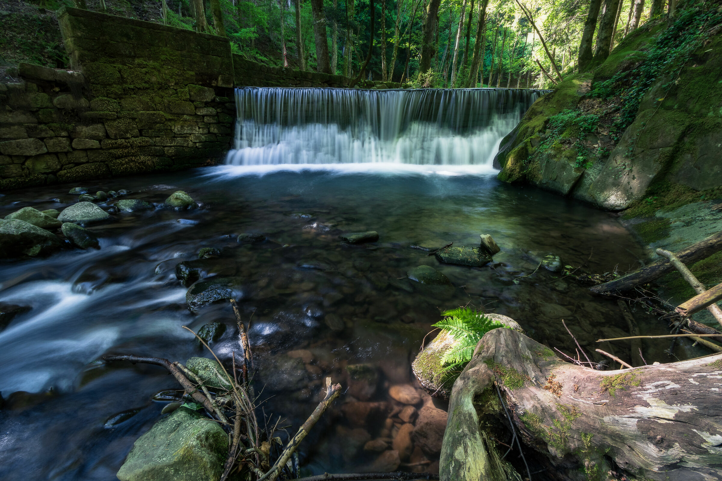 Camaldoli- Torrente