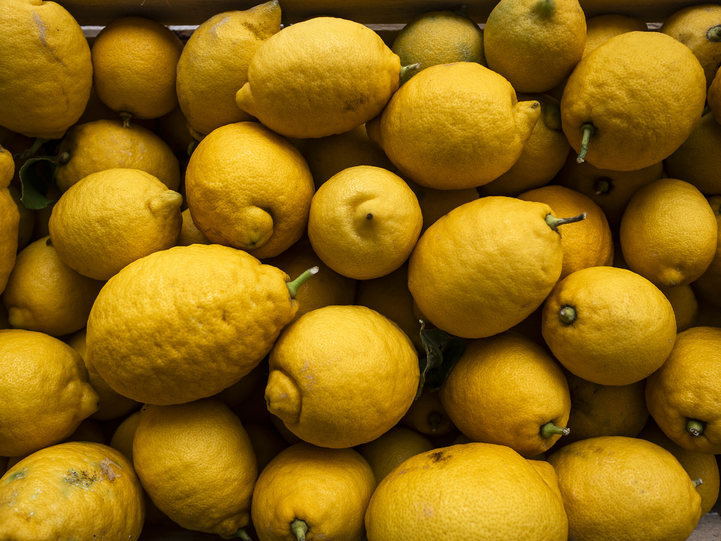 Carini's Lemons