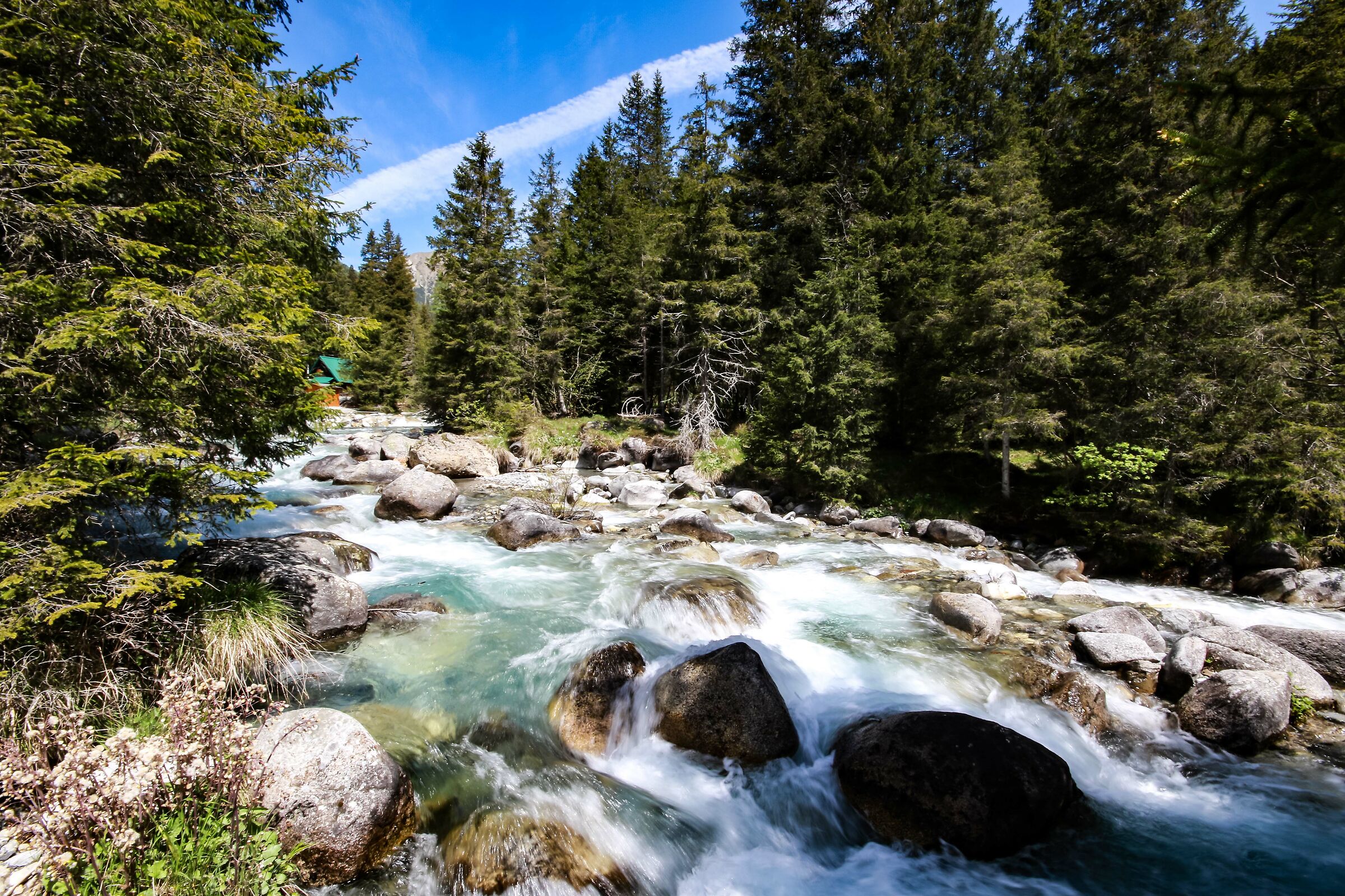 Torrente piana del gaver