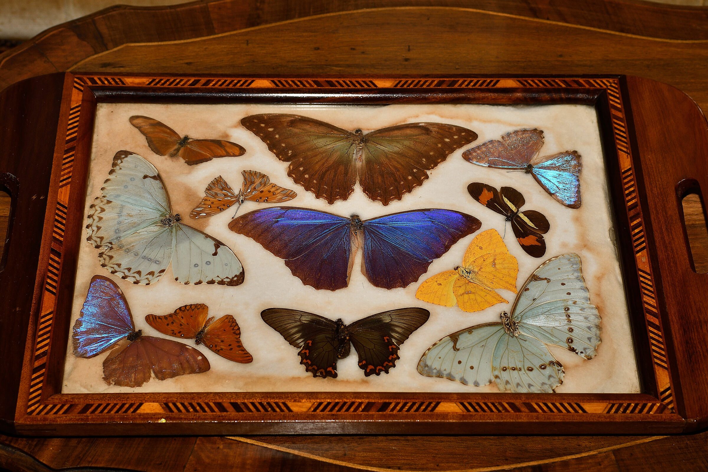 Una collezione antica