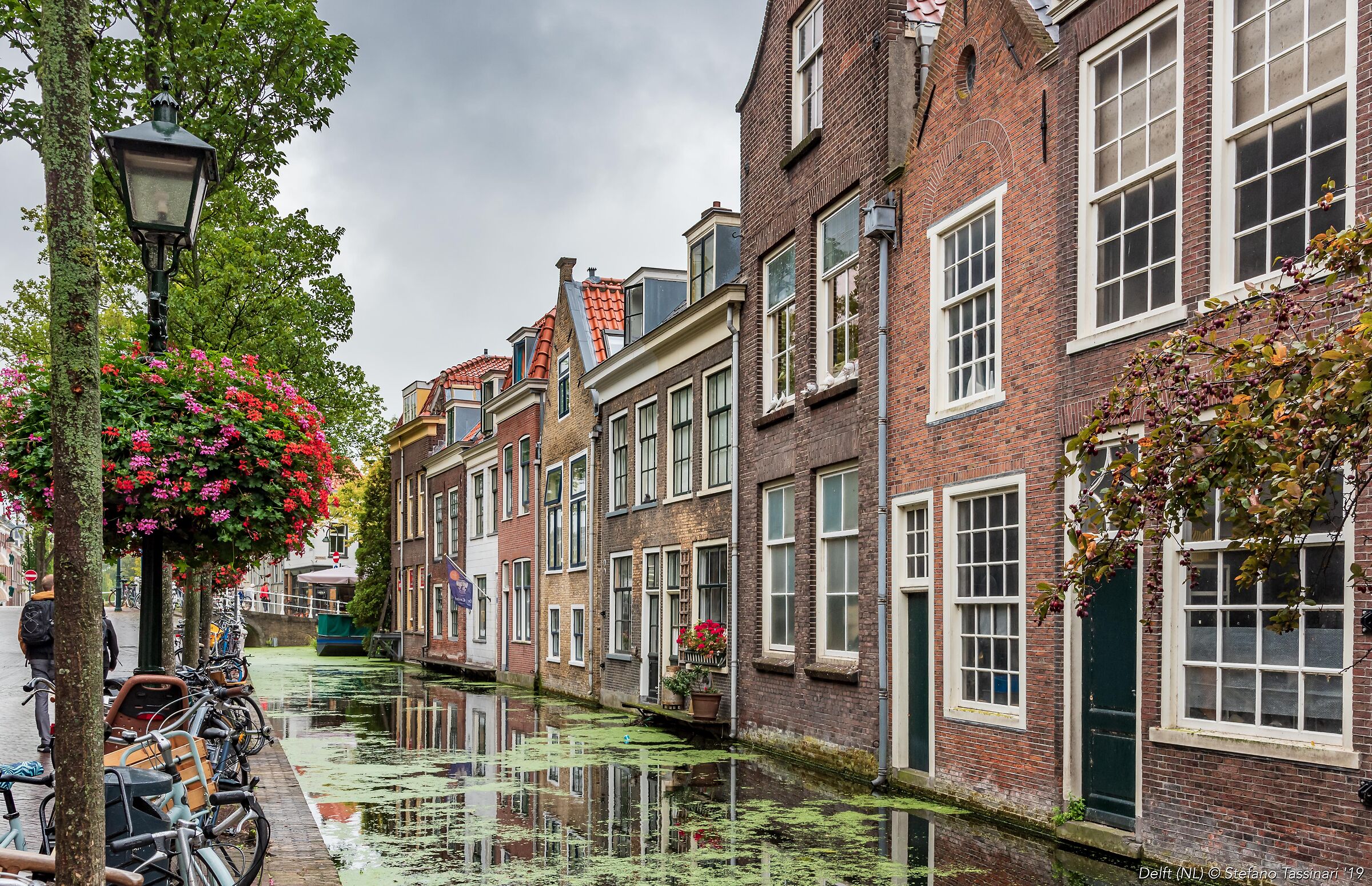 Delft