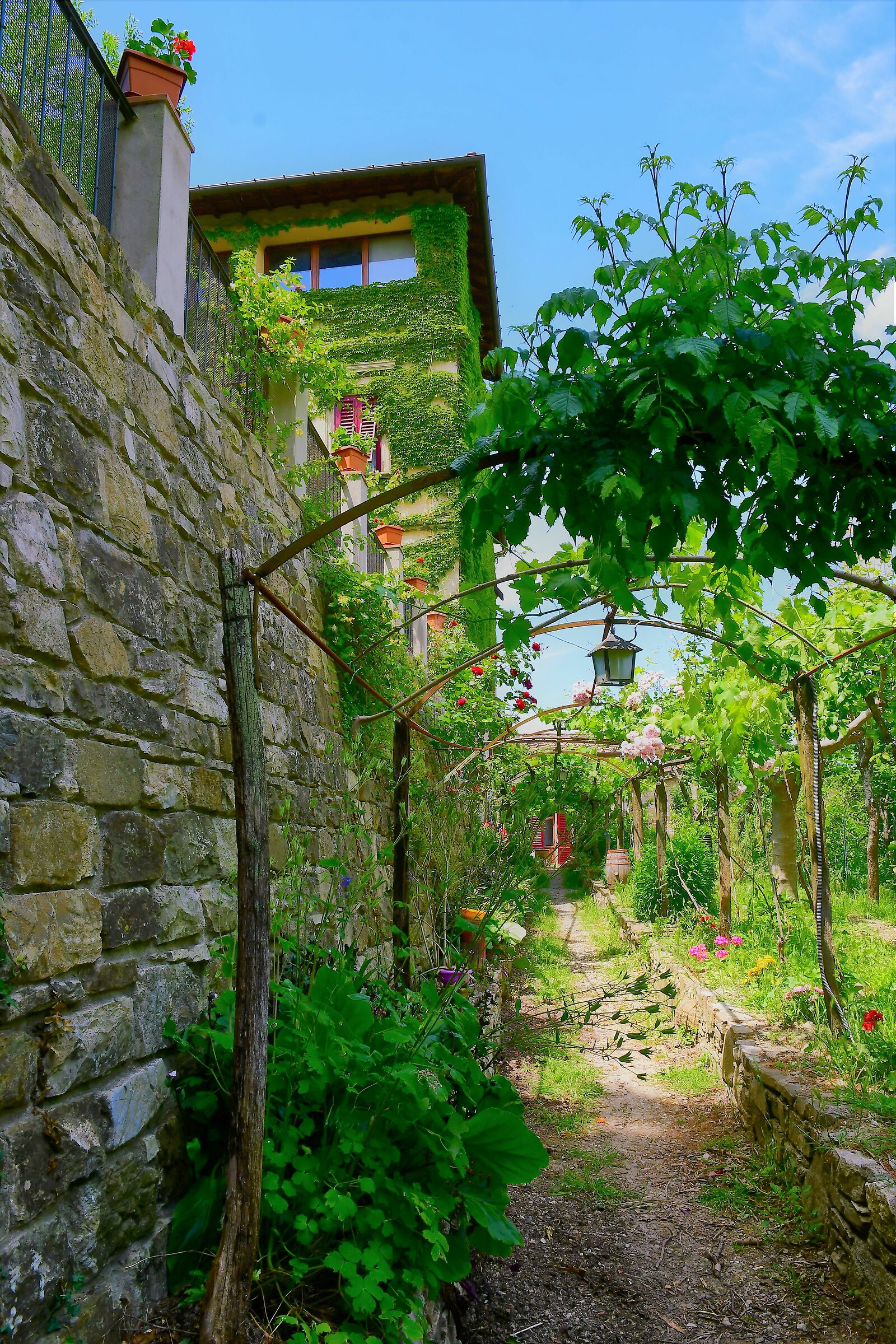 borgo di montefioralle