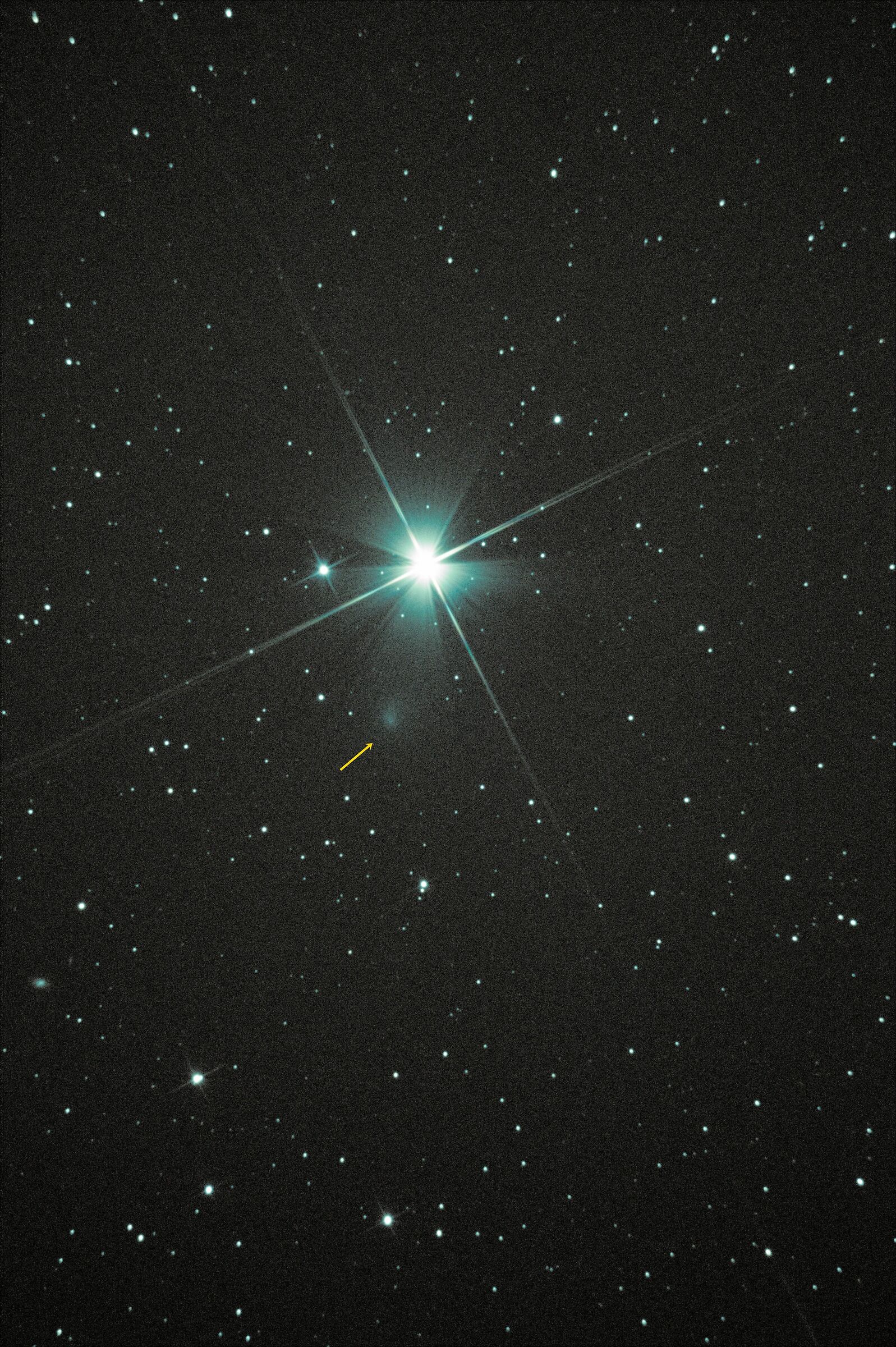 Comet C/2019 Y1 Atlas