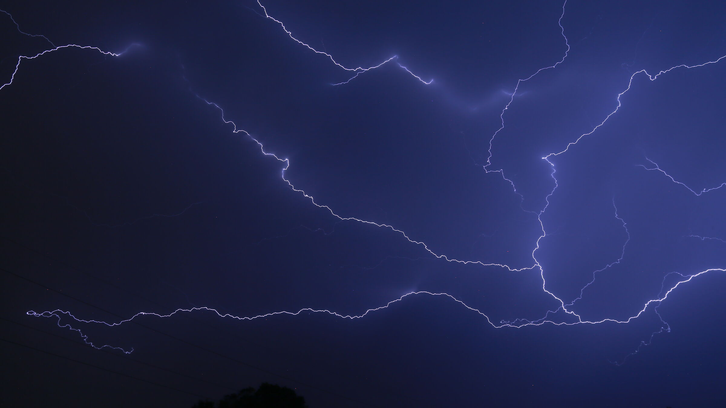 Lightning Branch