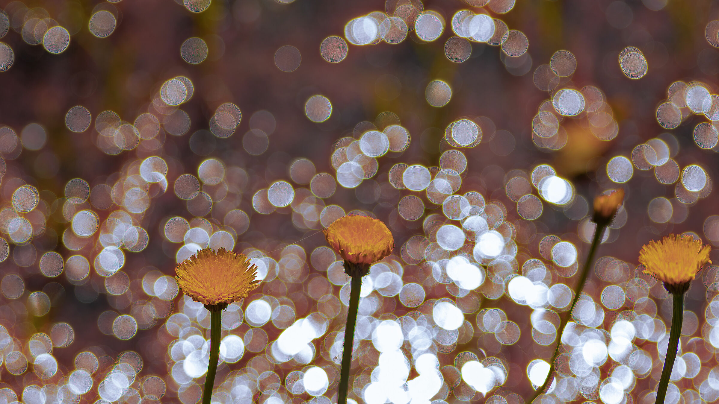 With all those, all those bubbles