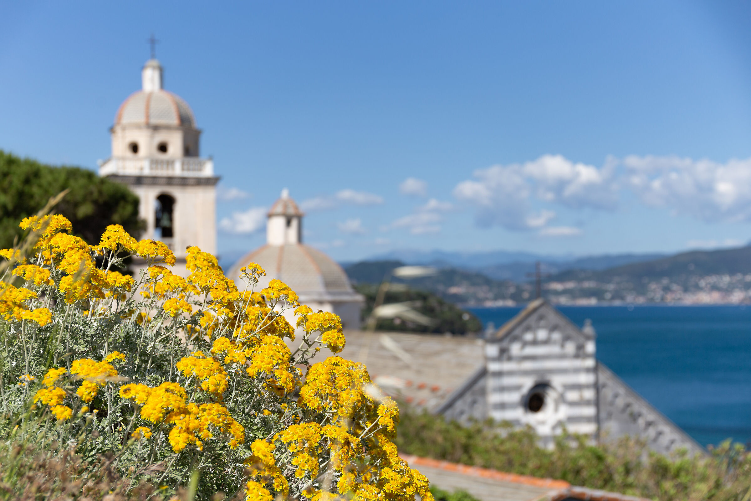Fiori e.....Portovenere