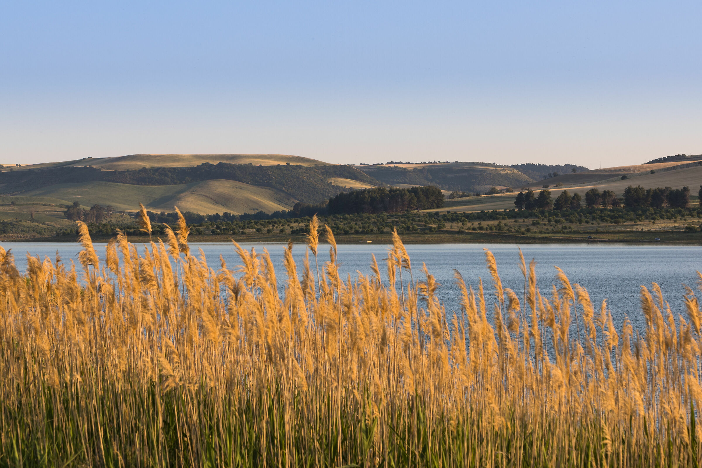 Locone Dam at Sunset