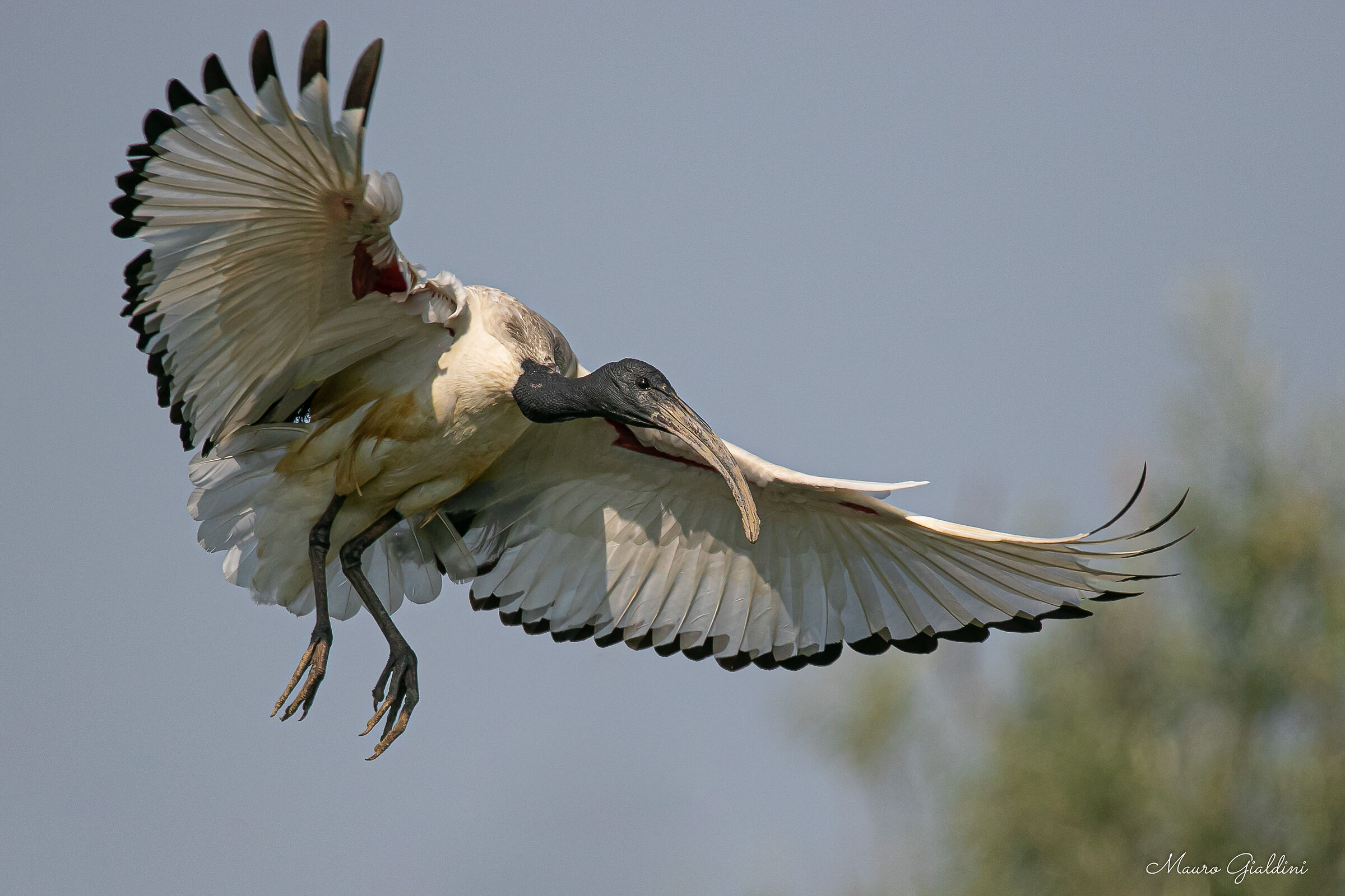 Landing