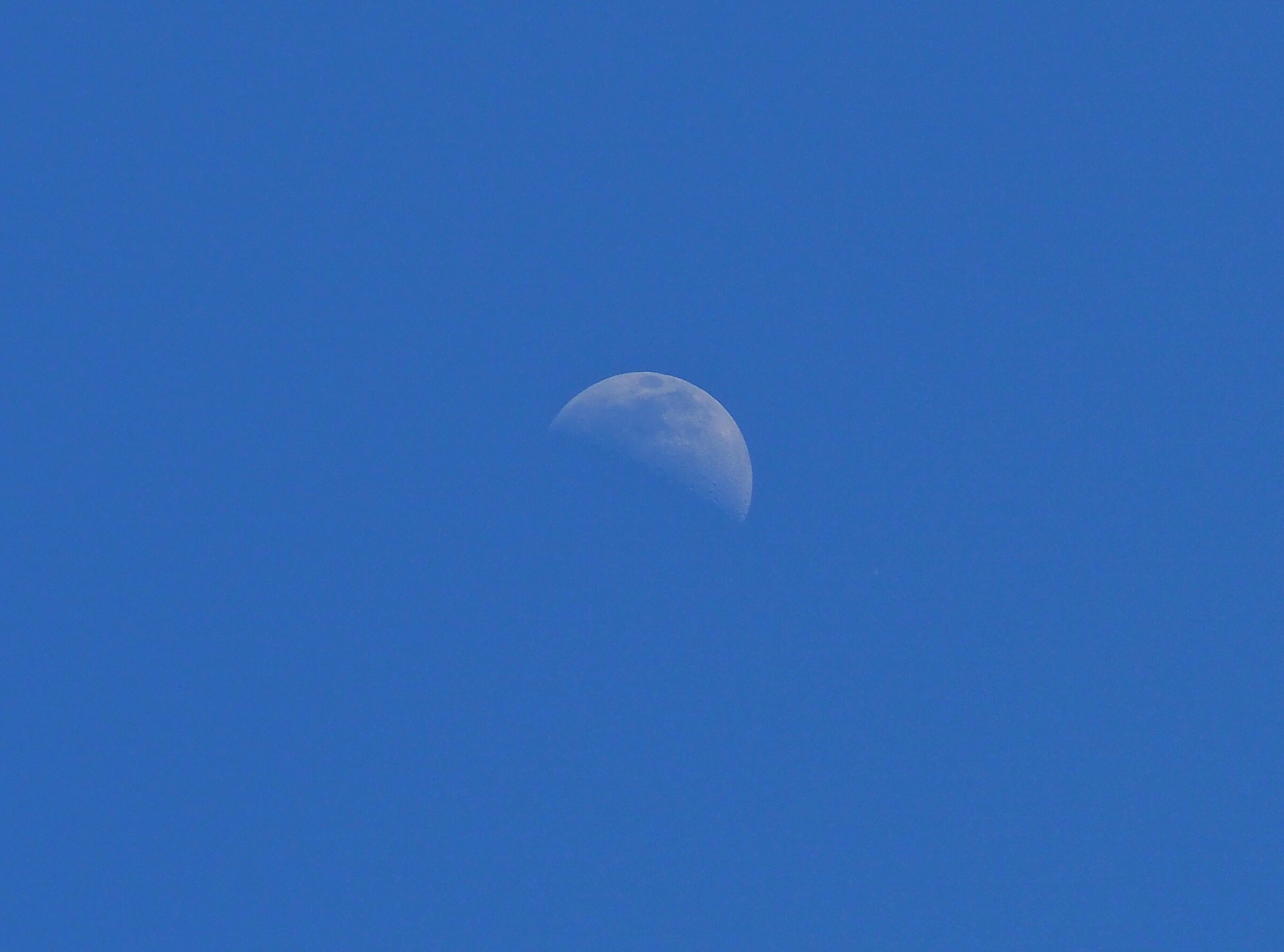 Luna di giorno