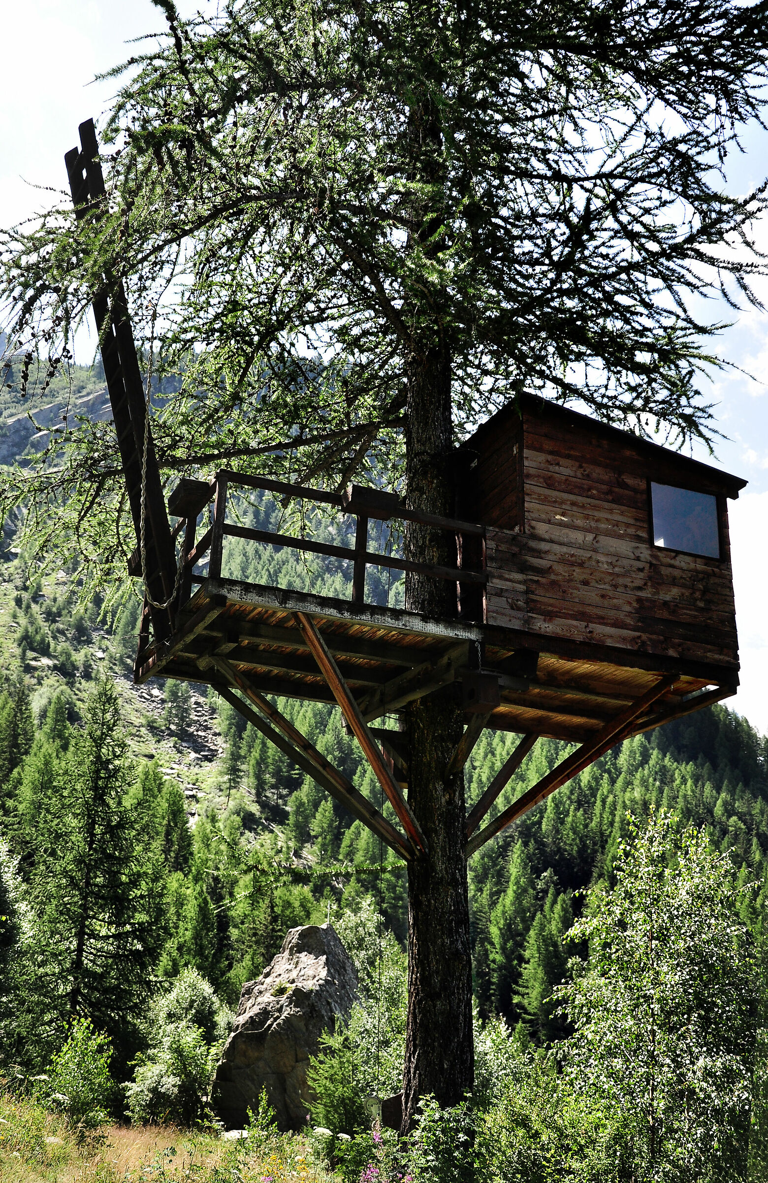 chi non l'ha mai desiderata...