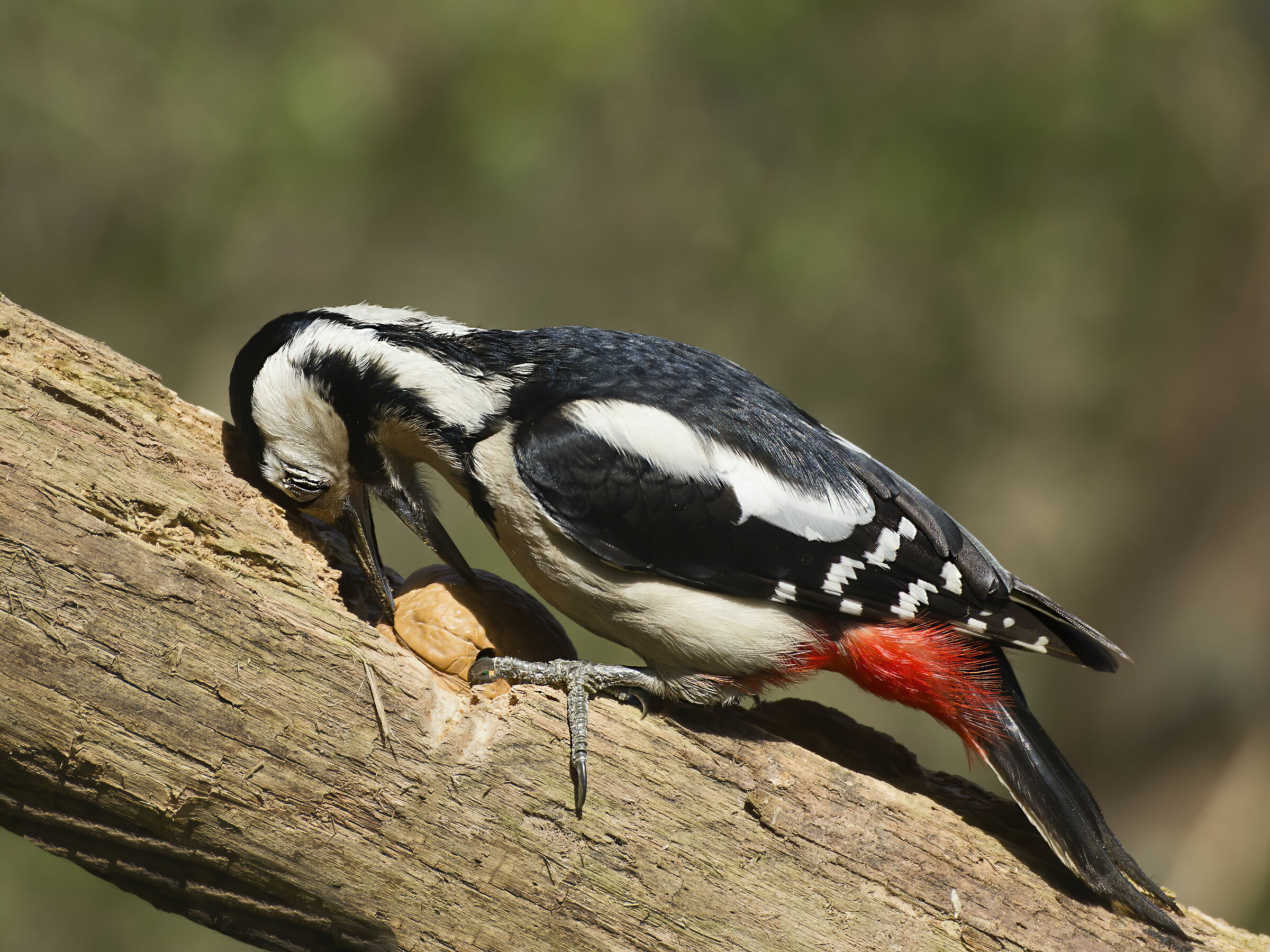 Prima o poi..... ti devi aprire.