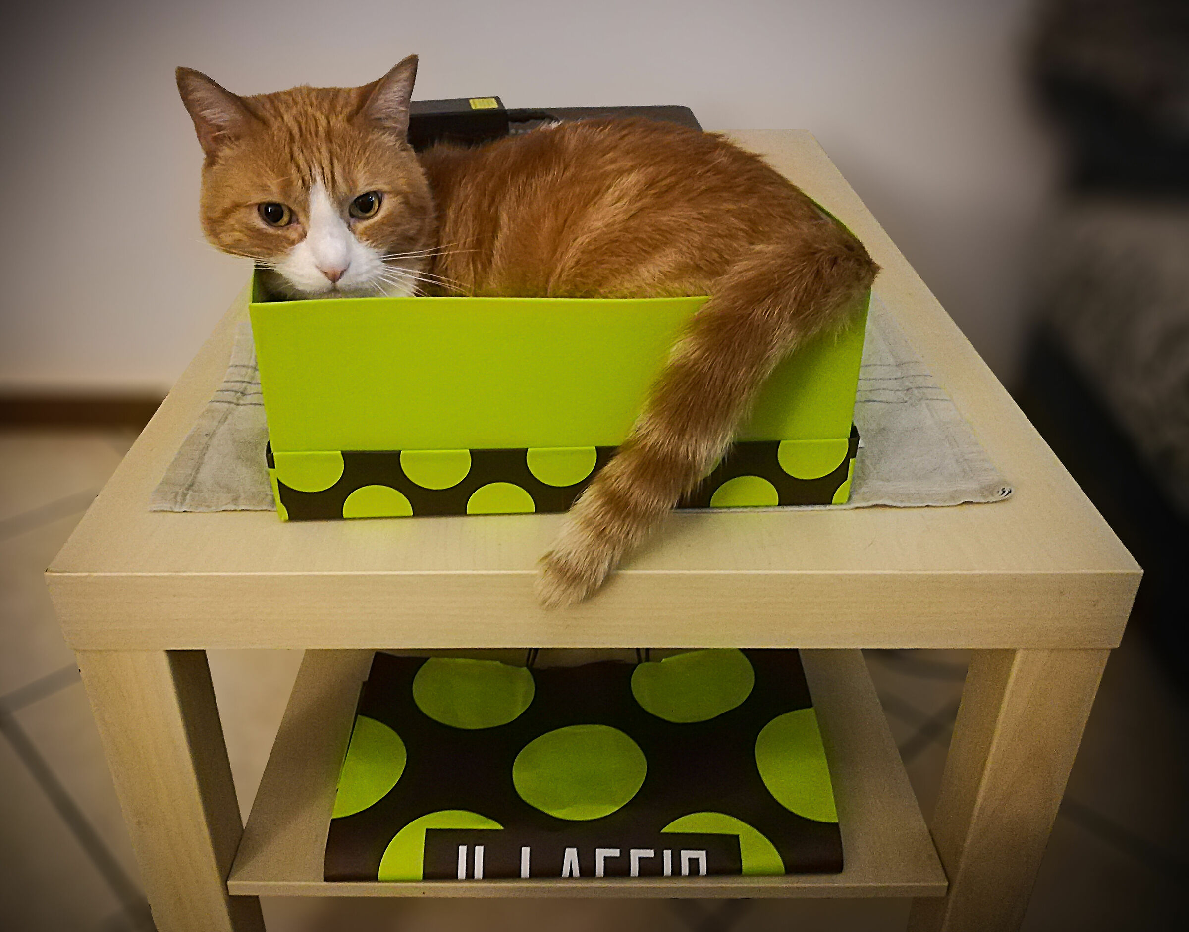 Complementary Colors