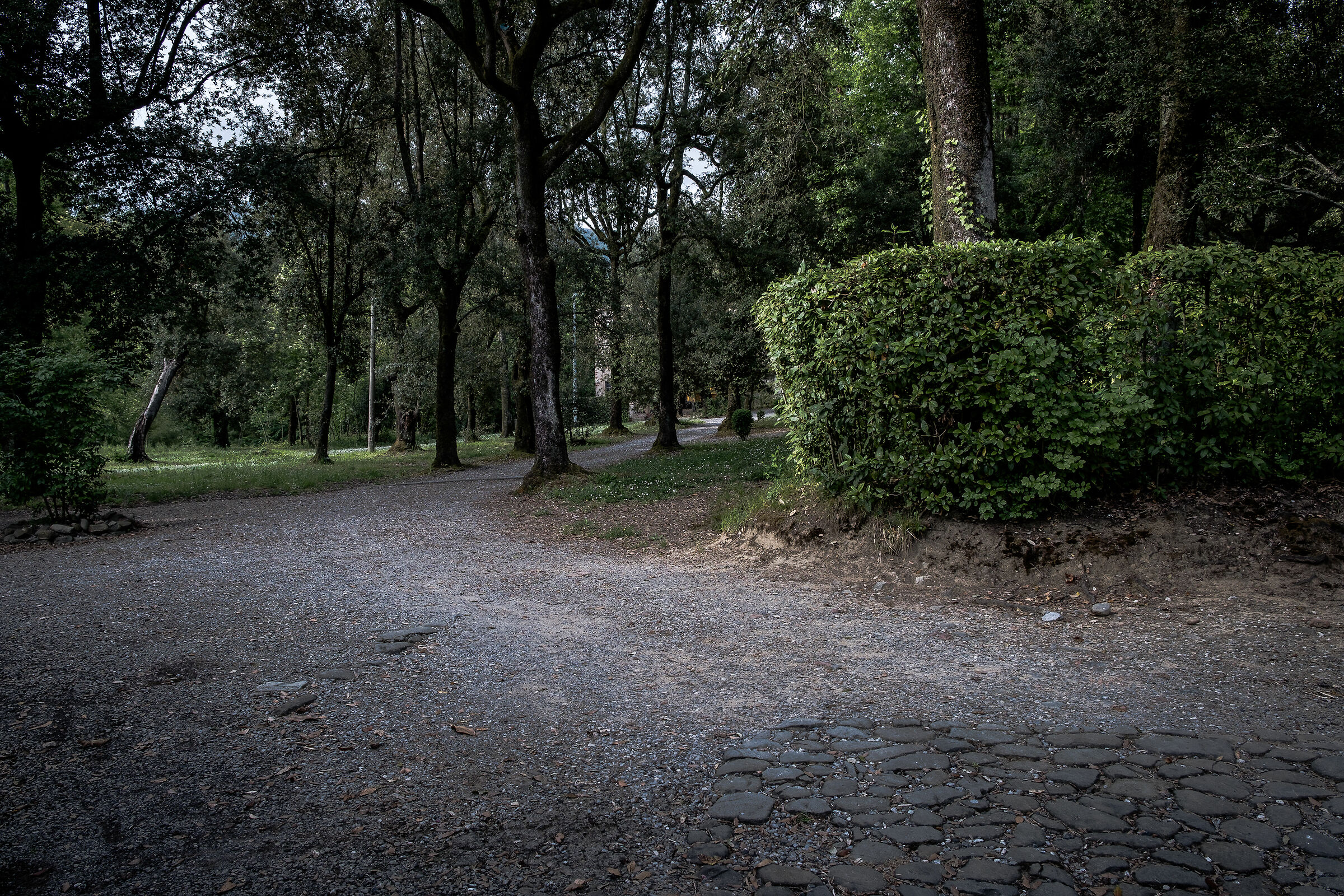 Villa Torrigiani, Lucca