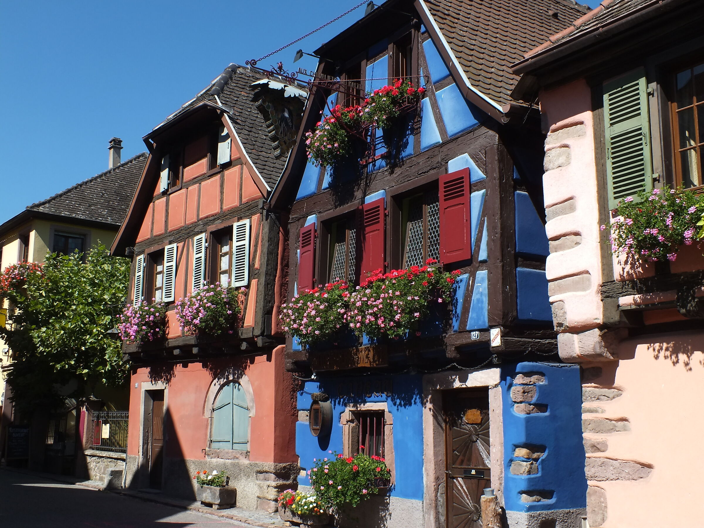 Alsace picturesque old houses
