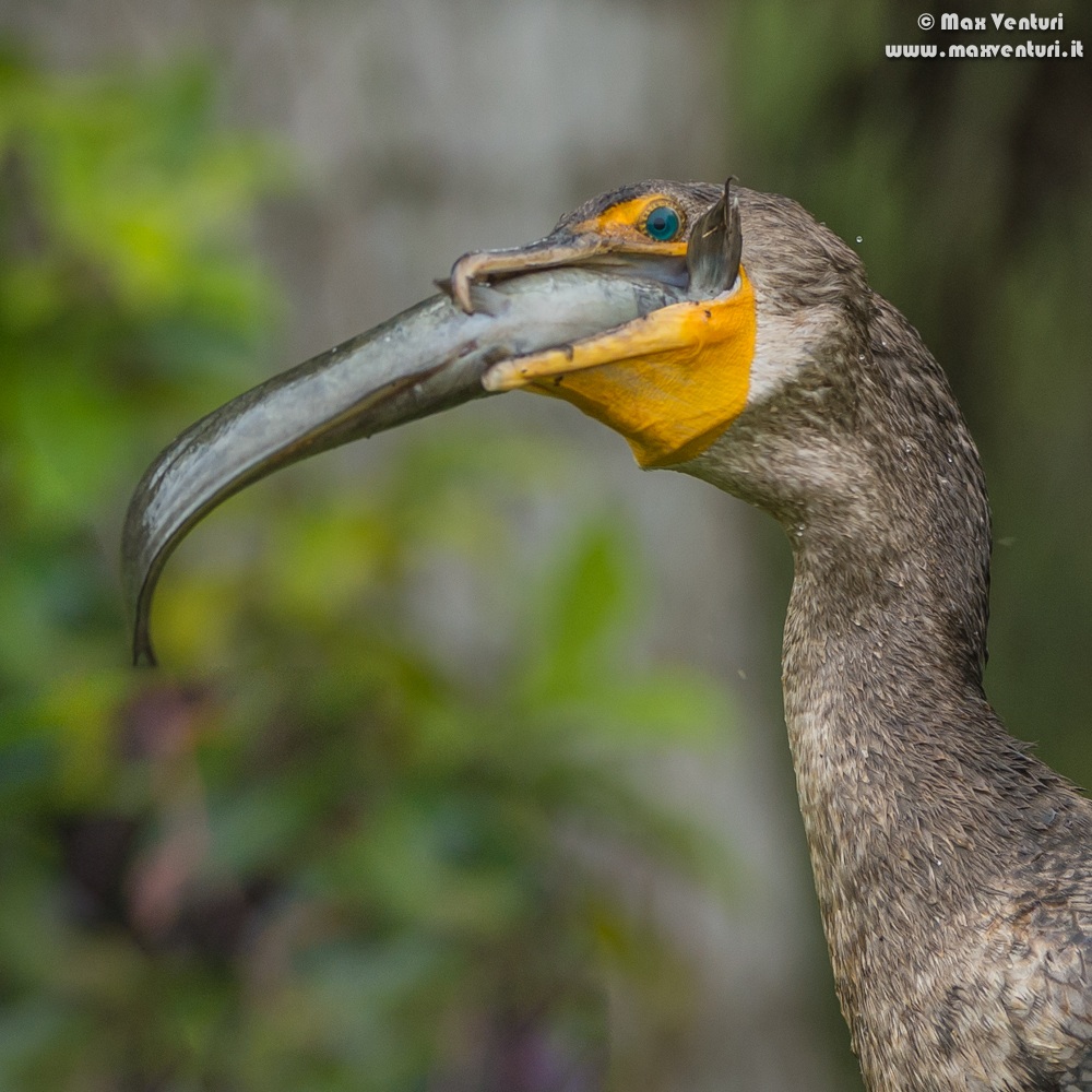 A selection of my best photos based on my own