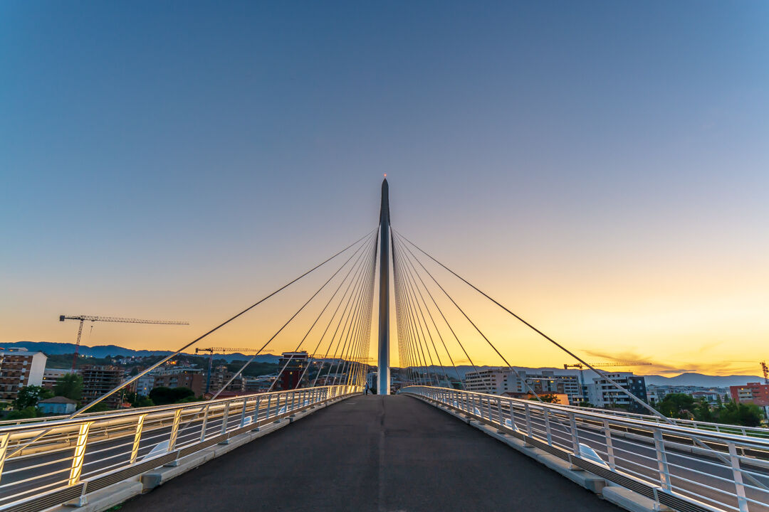 Calatrava Bridge