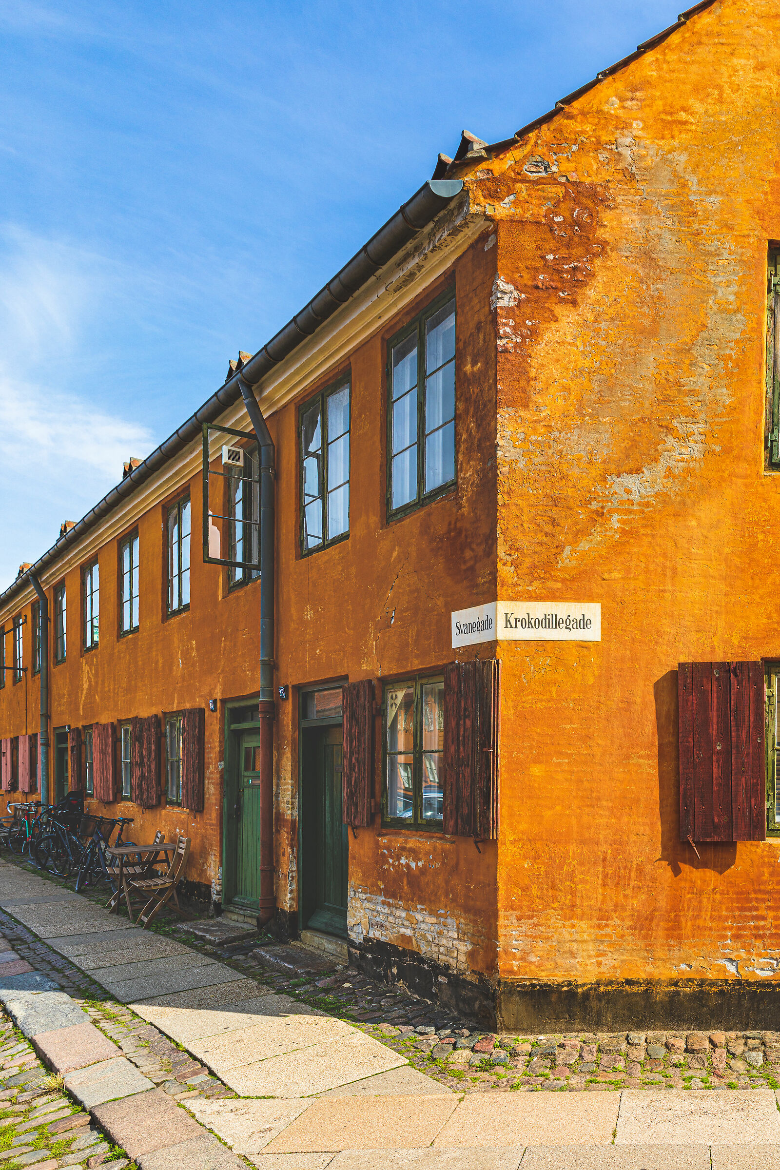 Spicy Mustard Crocodile