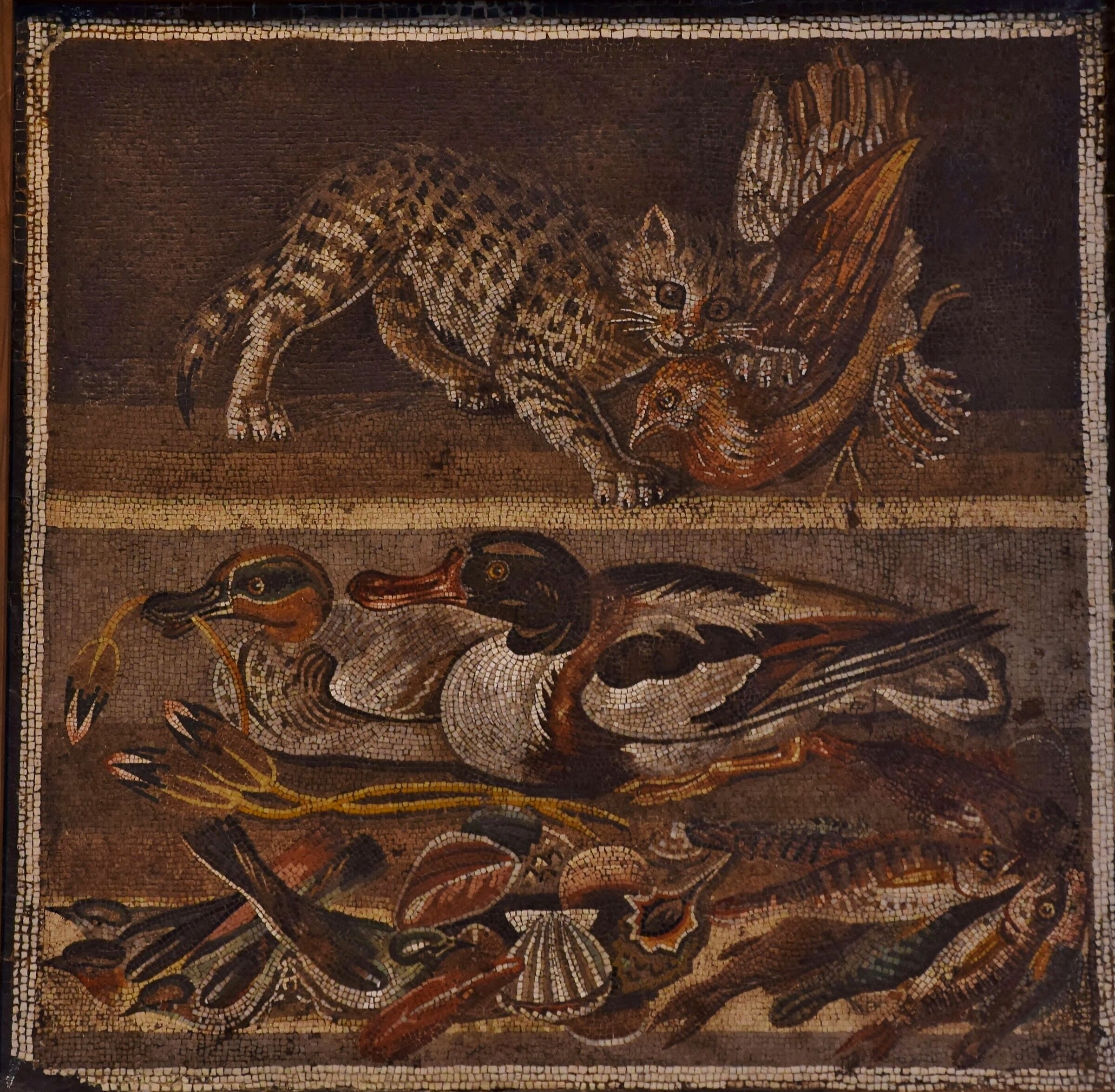 Sezione Pompei "Gatto che azzanna un gallinaceo"