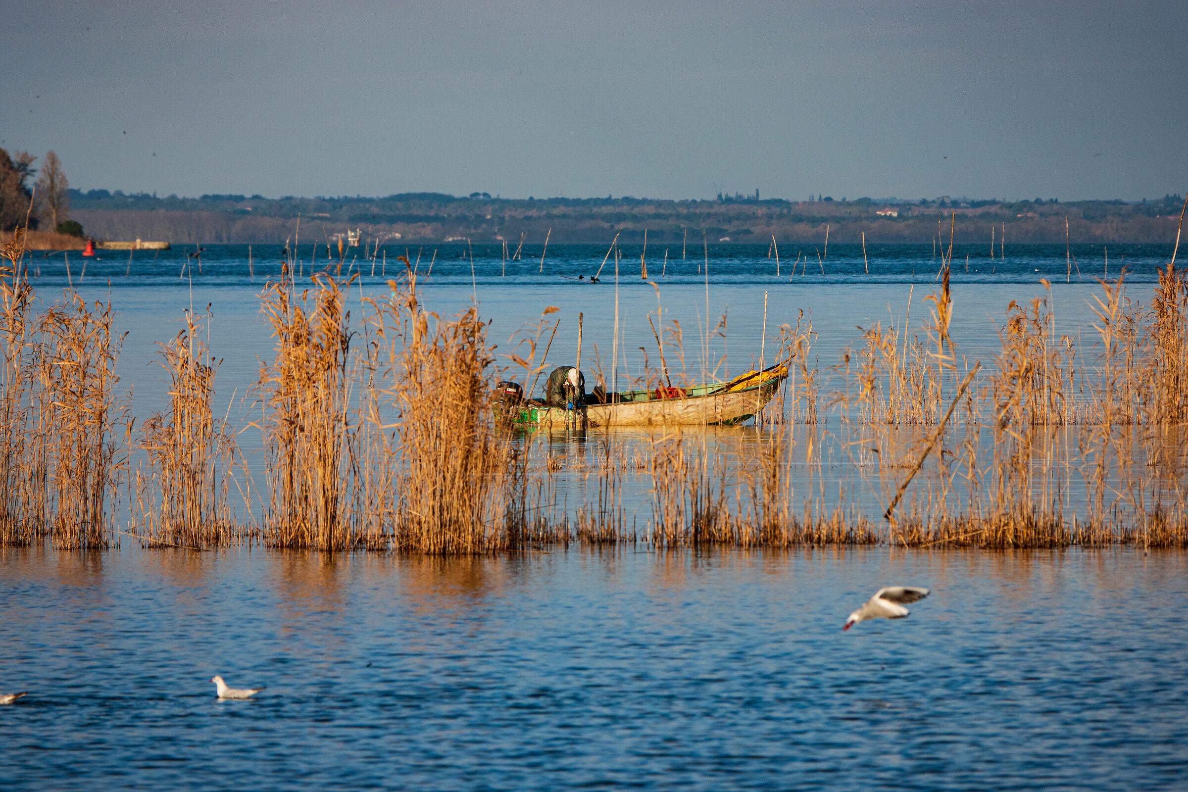 Oasi La Valle Trasimeno