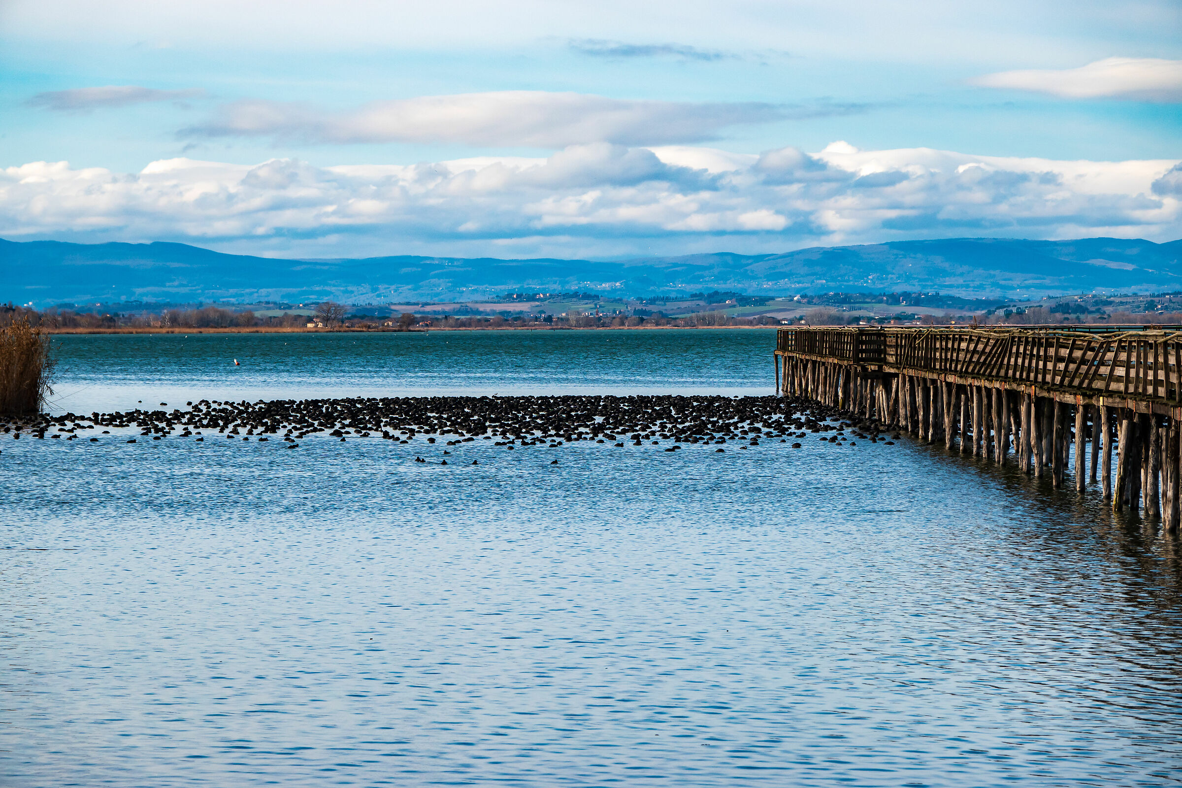 Oasi La Valle Trasimeno