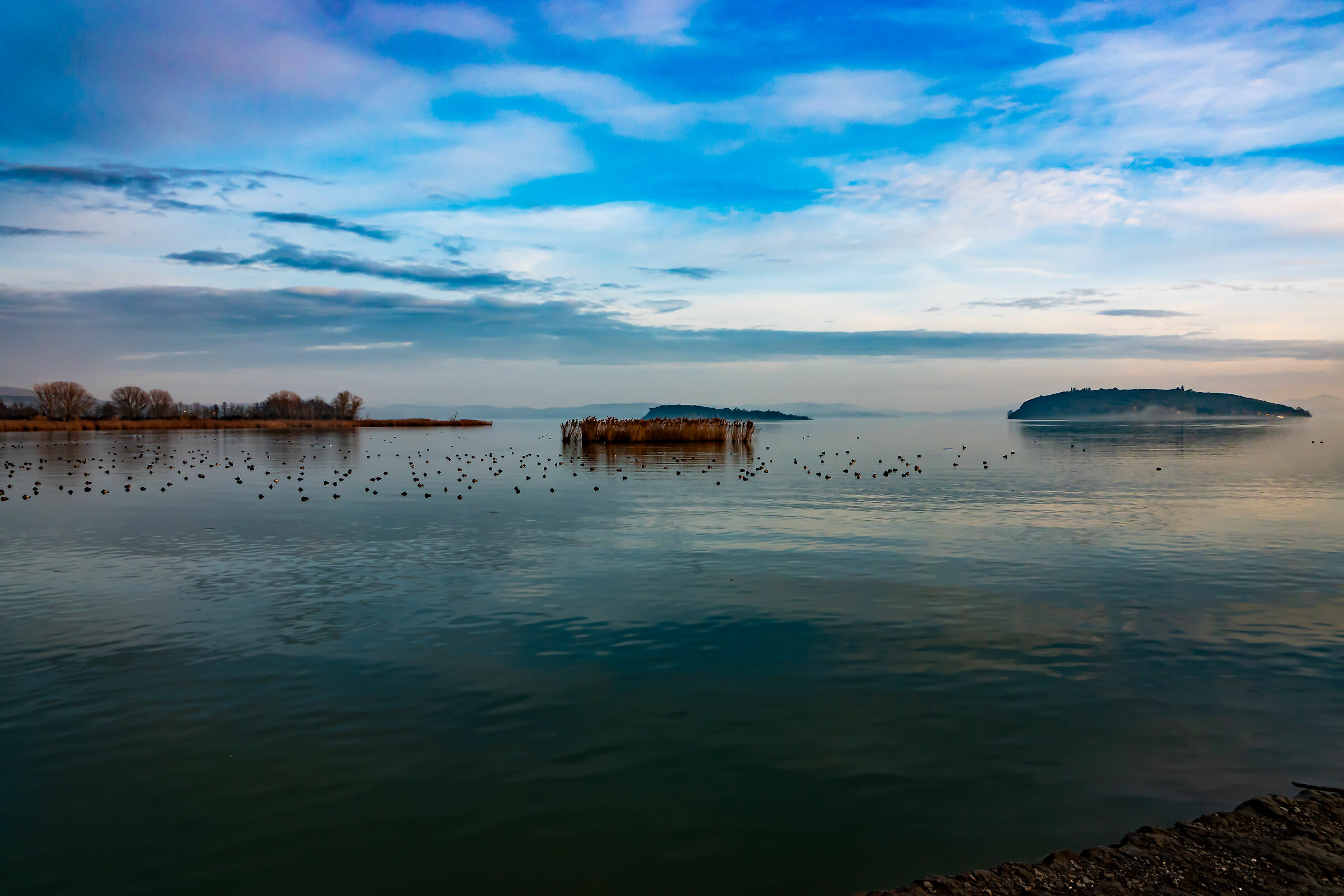 Lake Trasimeno