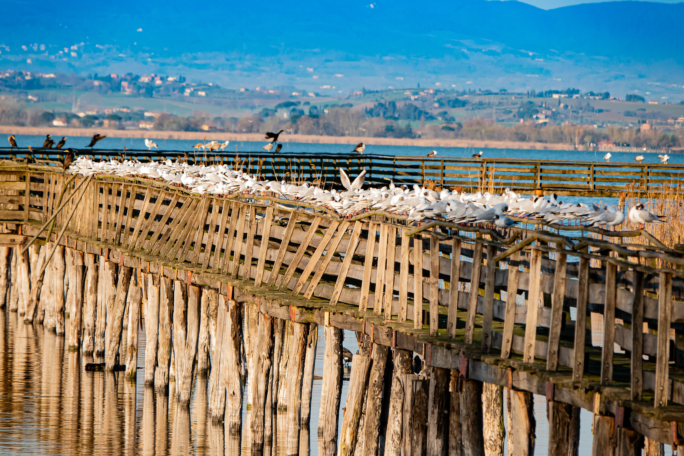 Oasi La Valle Trasimeno