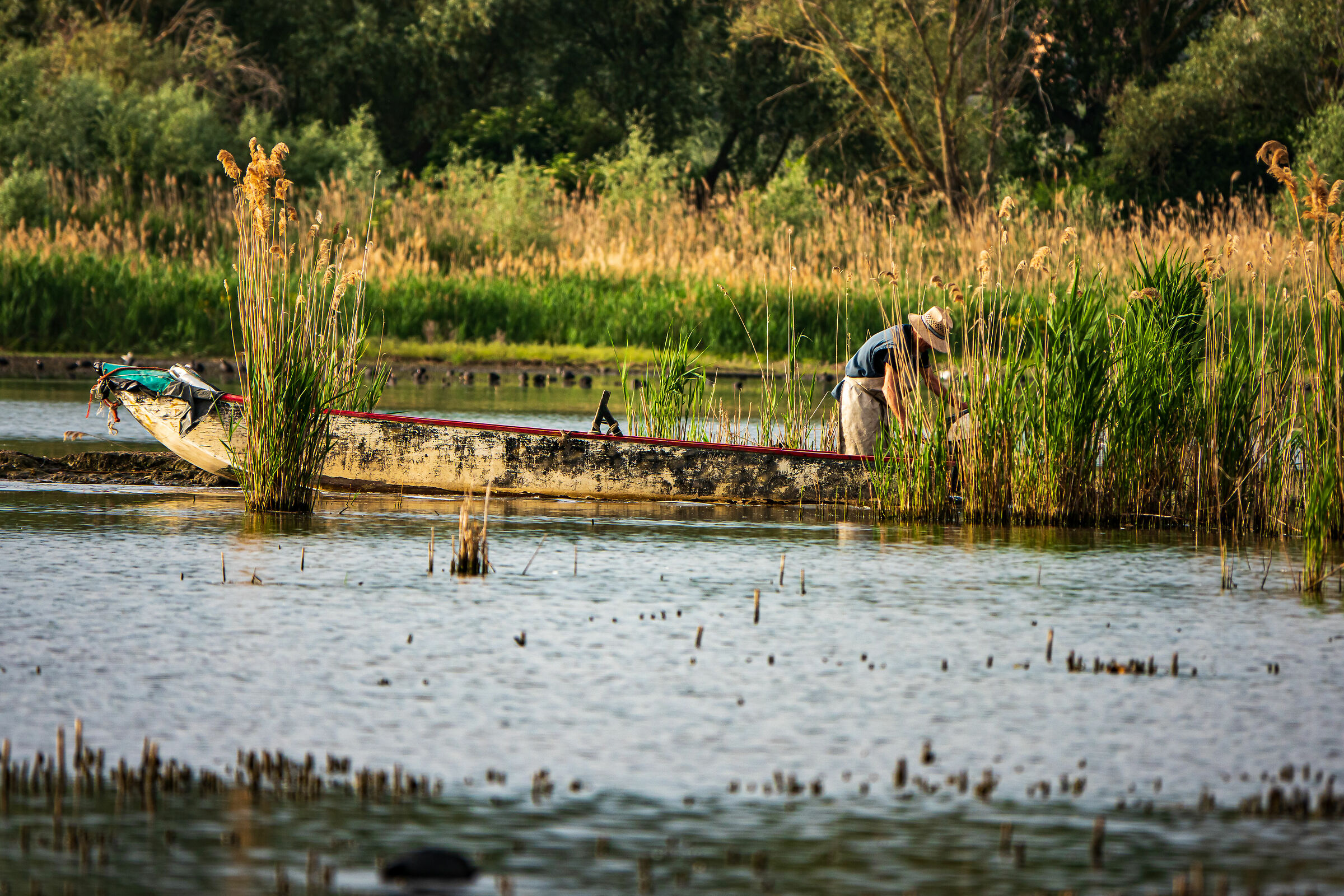 Oasi La Valle Trasimeno