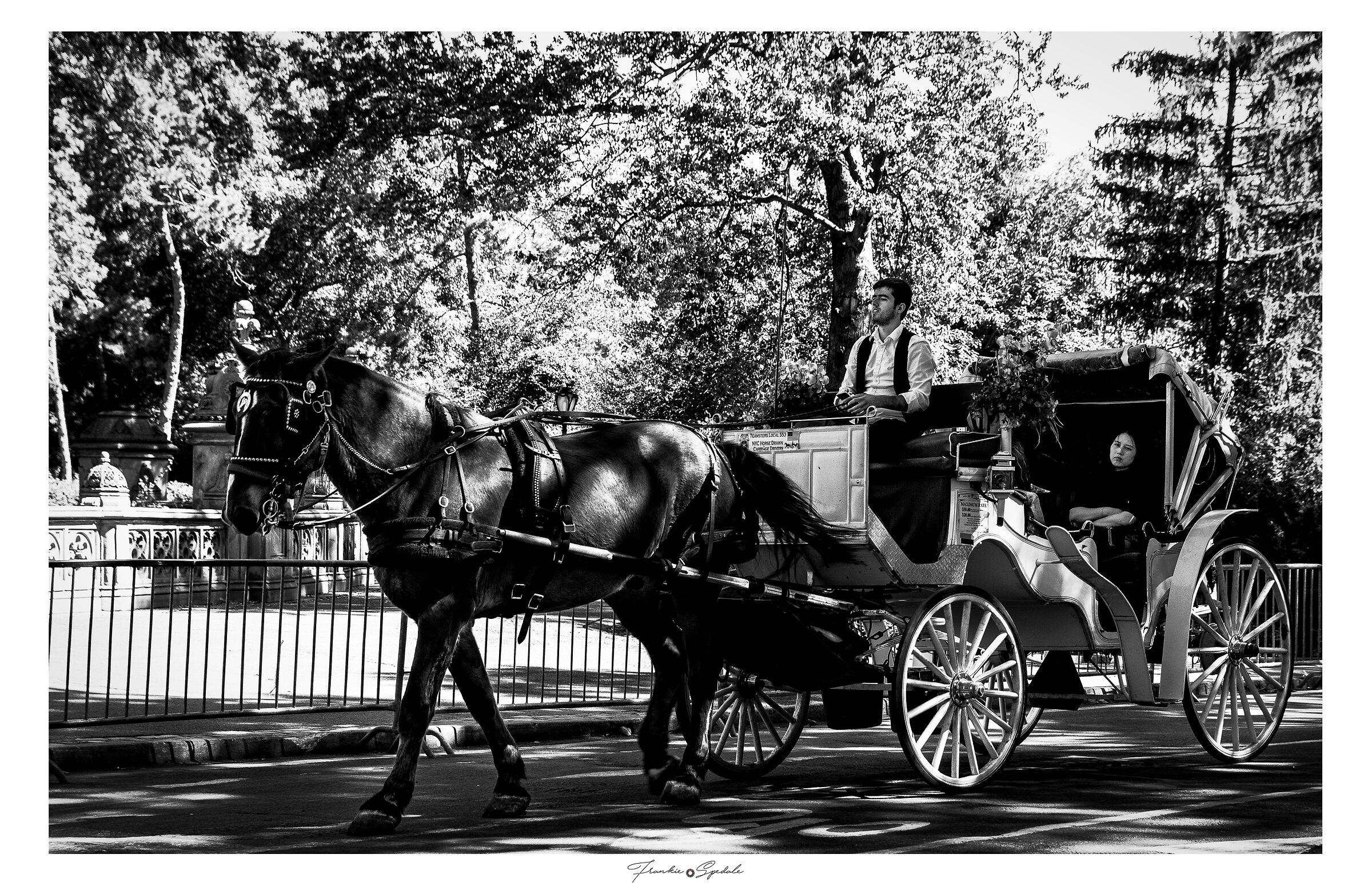 Carriage in Central Park