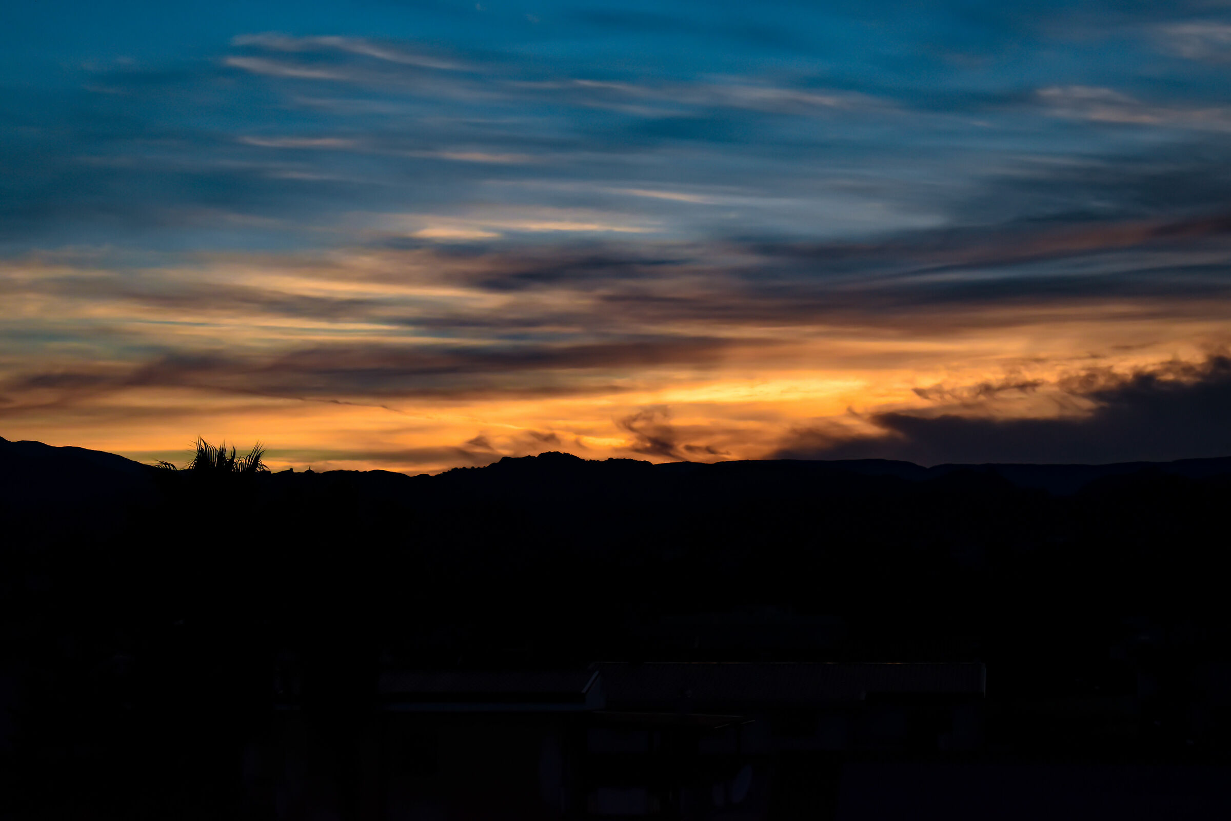 Untitled Photo