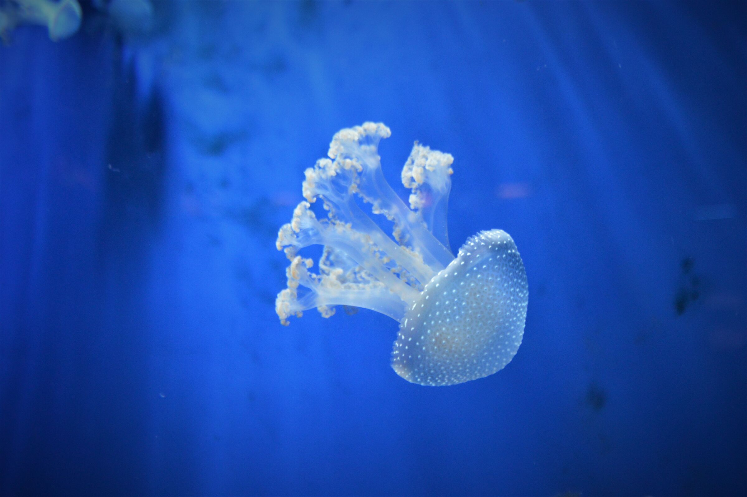 Lonely in the night...