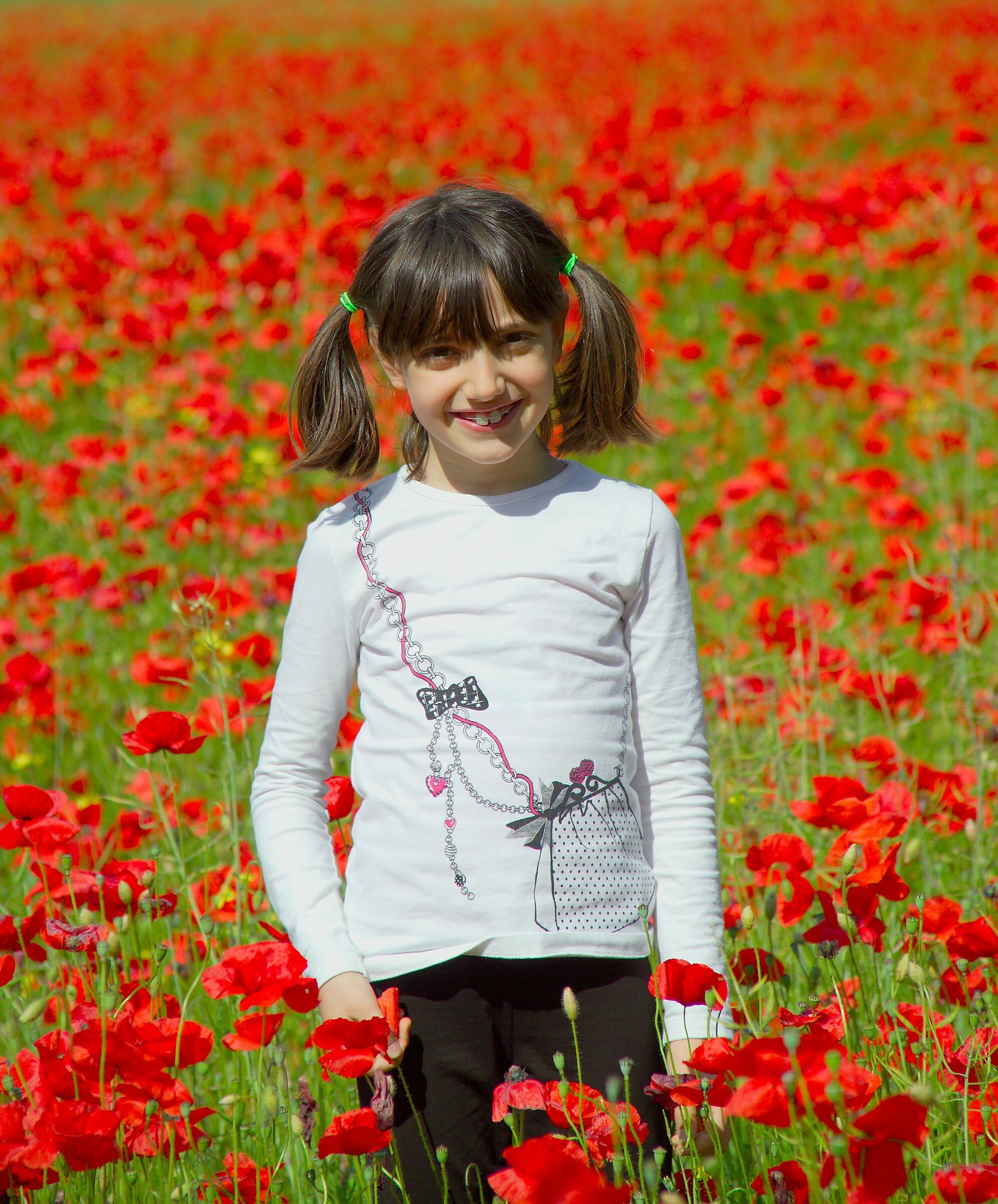 Poppies and Ducks...