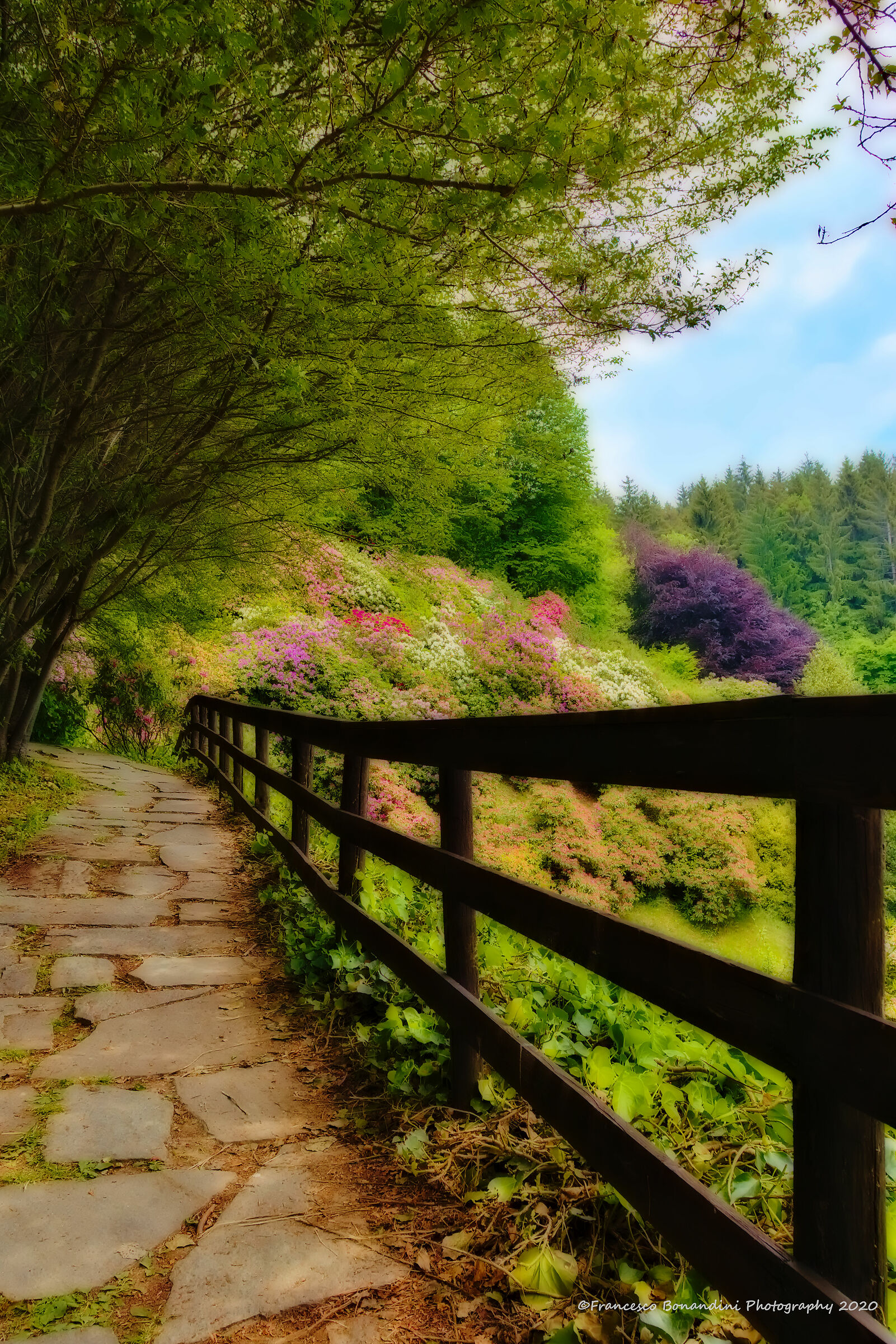 Walk among the flowers