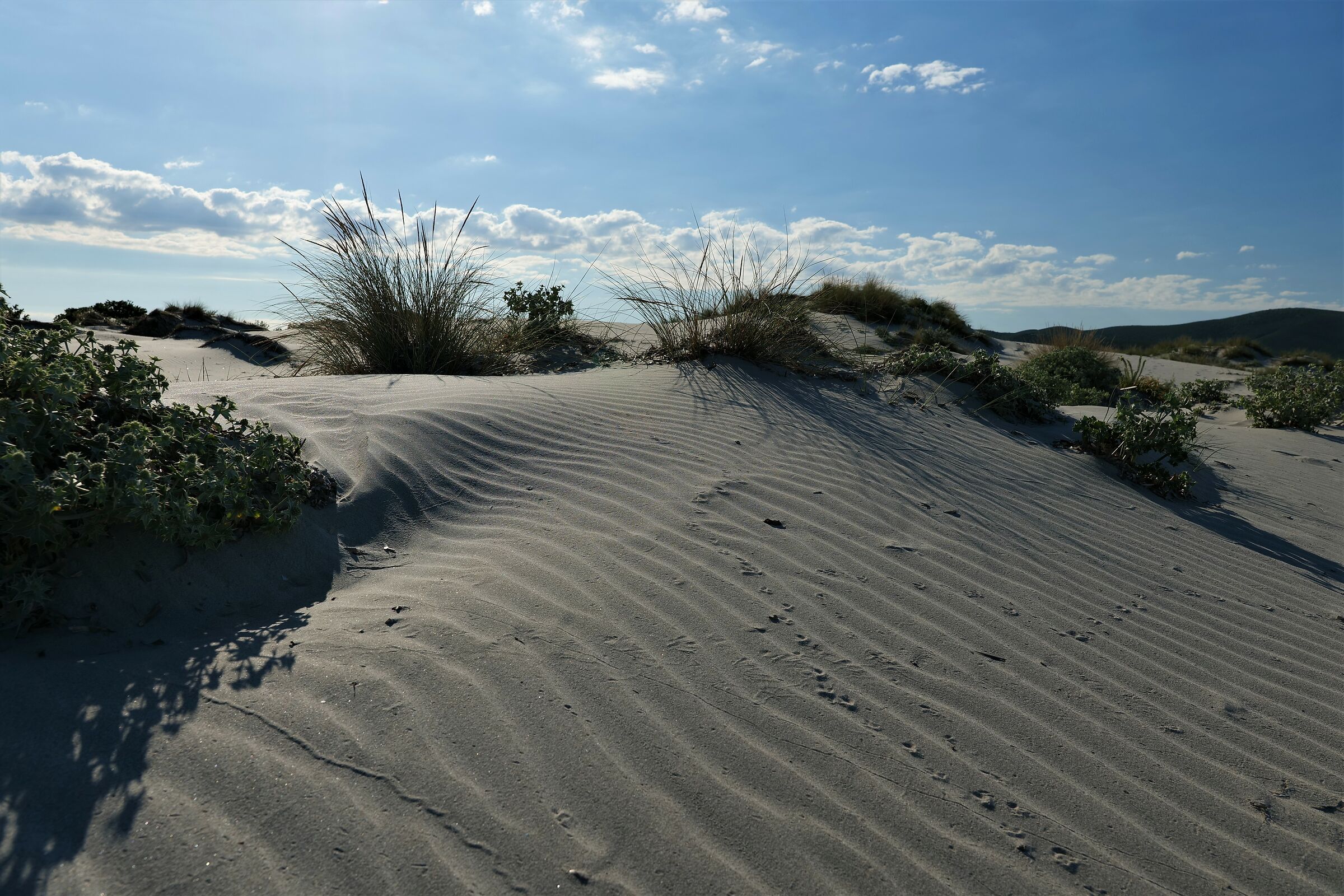 White dunes at Pine Harbour