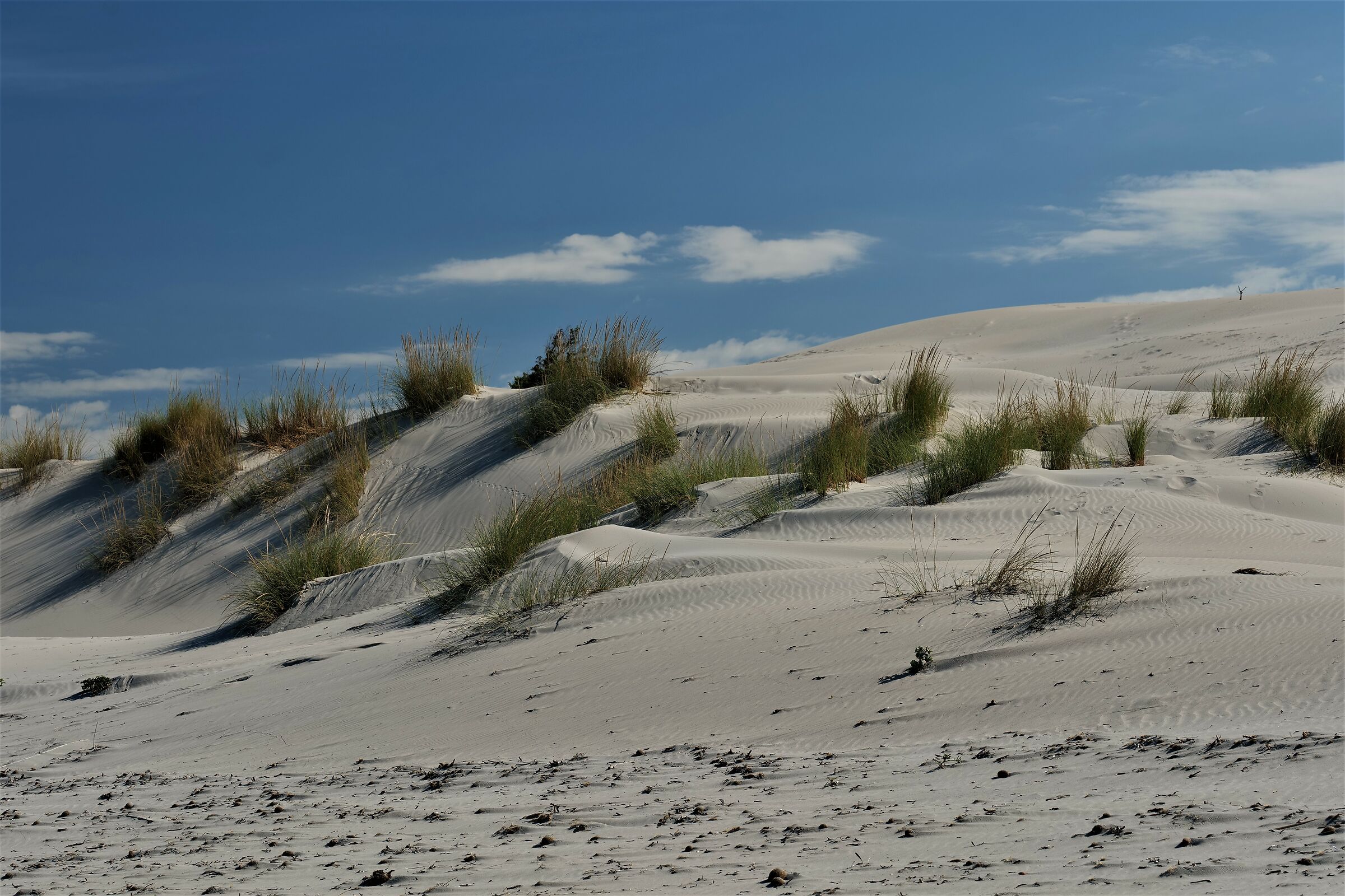 Dune bianche a Porto Pino