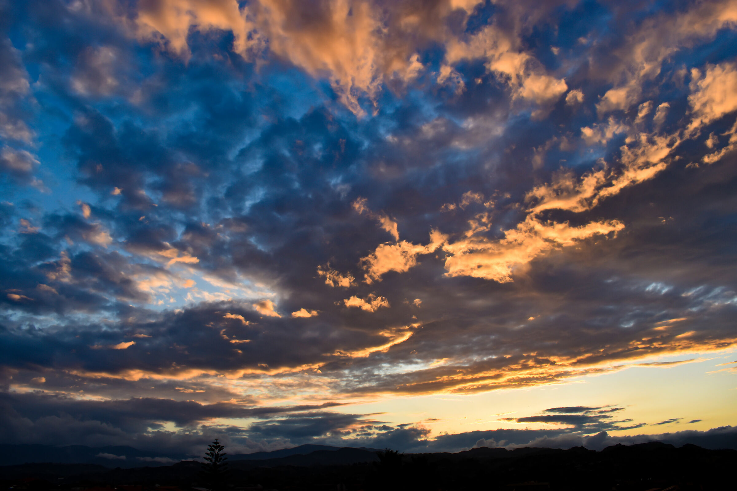 Untitled Photo