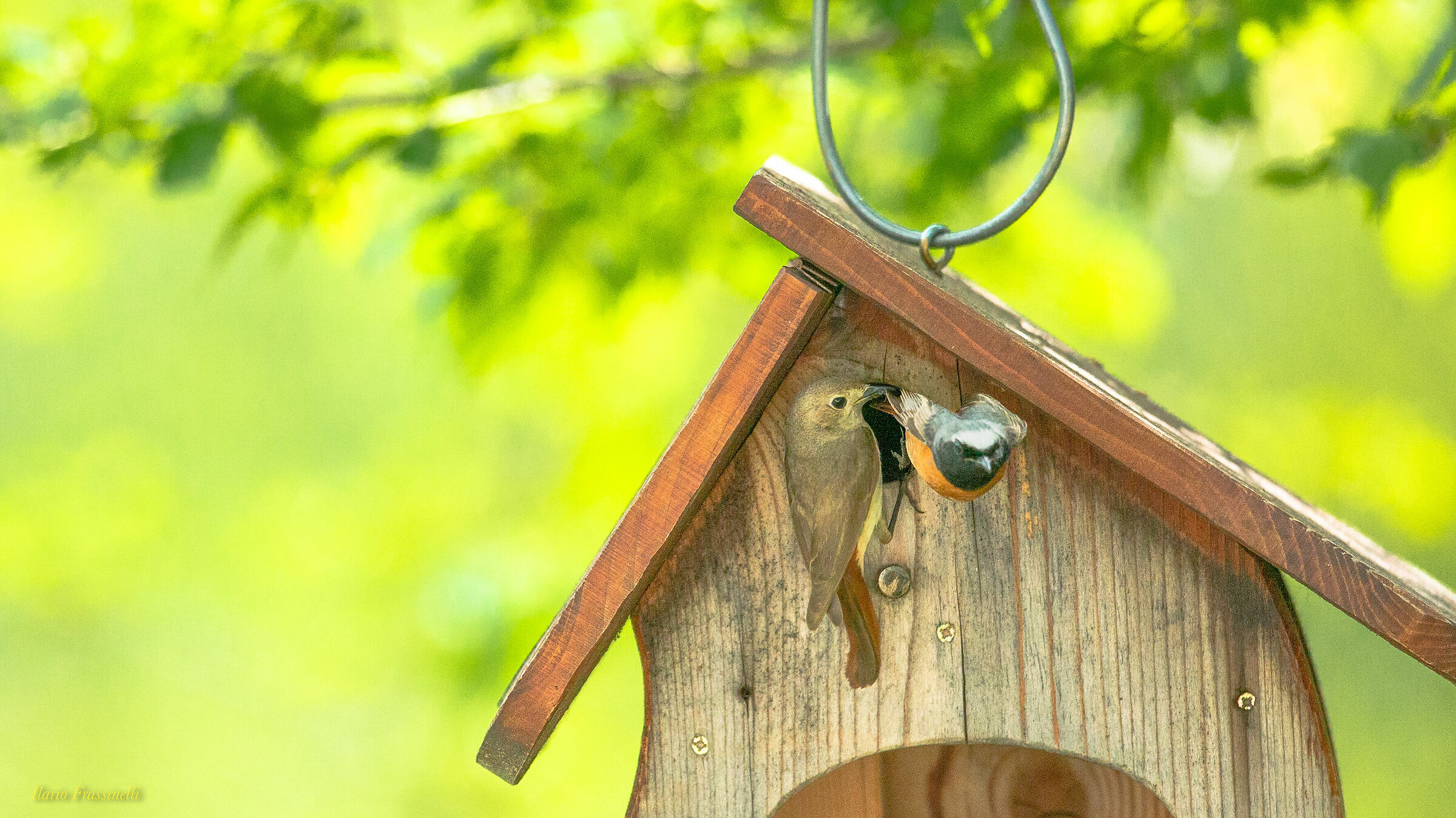 Go away to feed the little ones