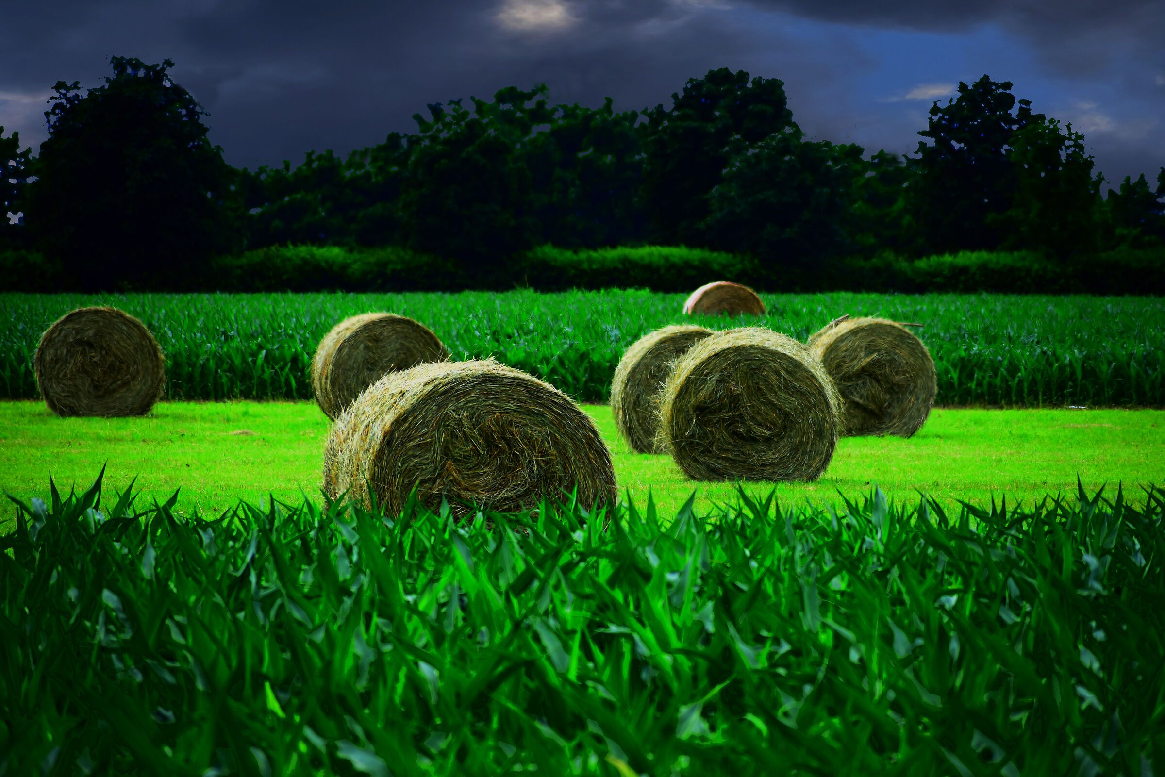 A bunch of bales ...
