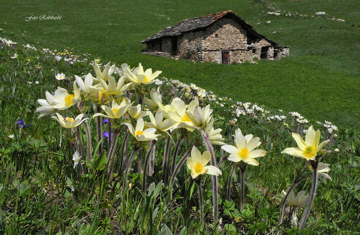 La valle dell'Eden...